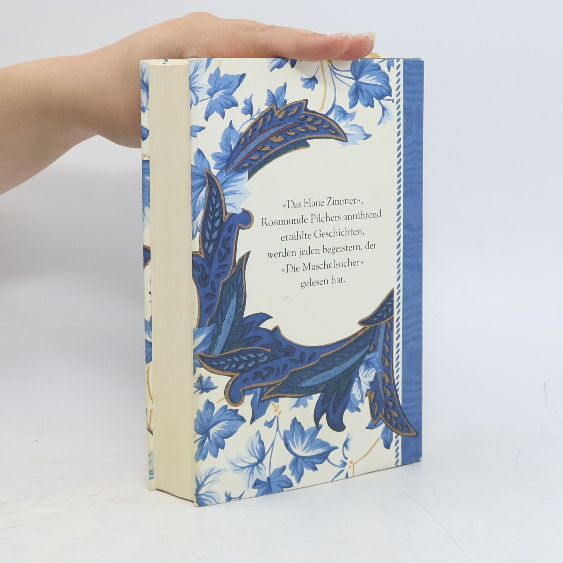 Rosamunde Pilcher Das blaue Zimmer