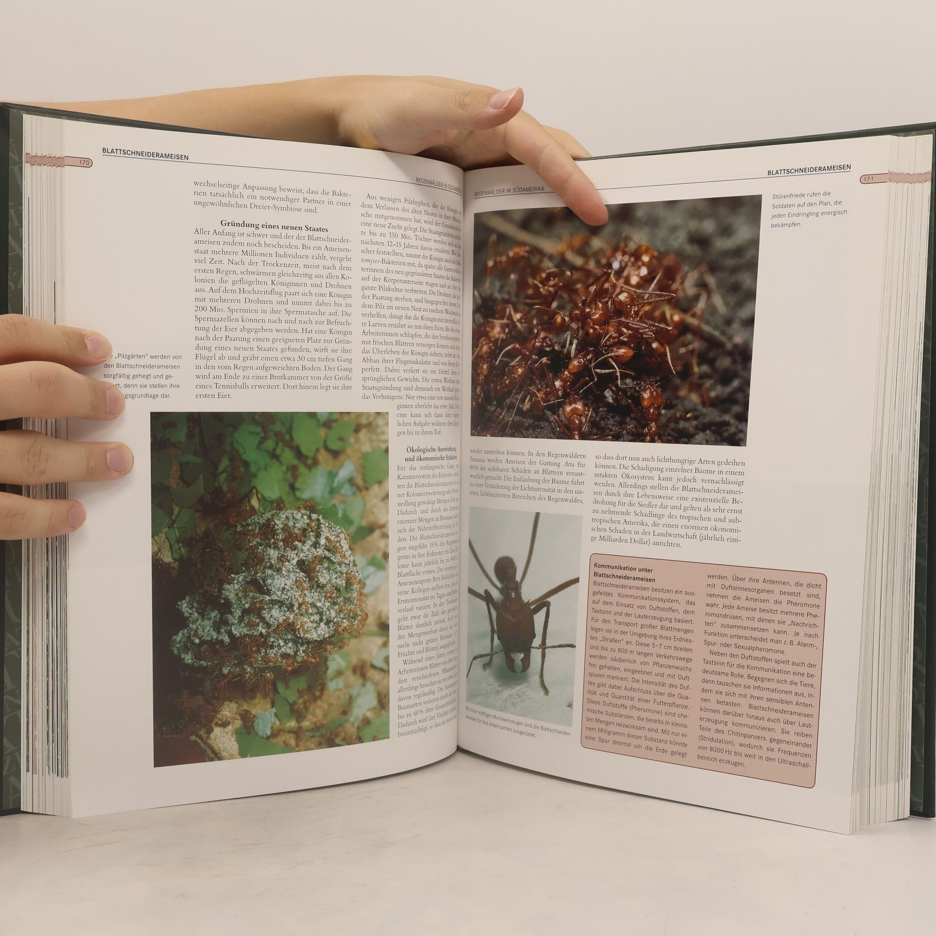 Autorenkollektiv Faszination Natur. Taig, Tundra und Polargebiete