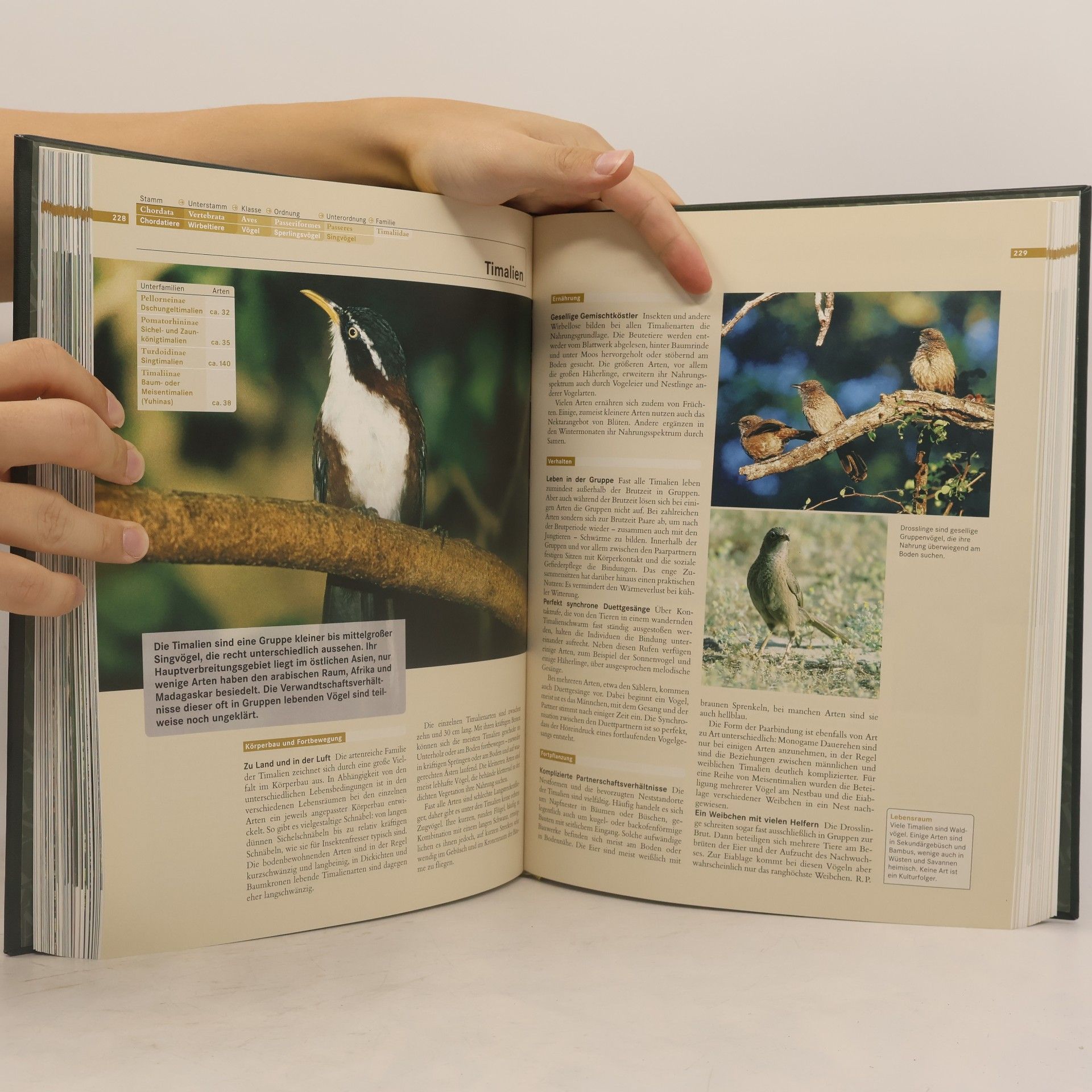 Various authors Faszination Natur. Vögel II.