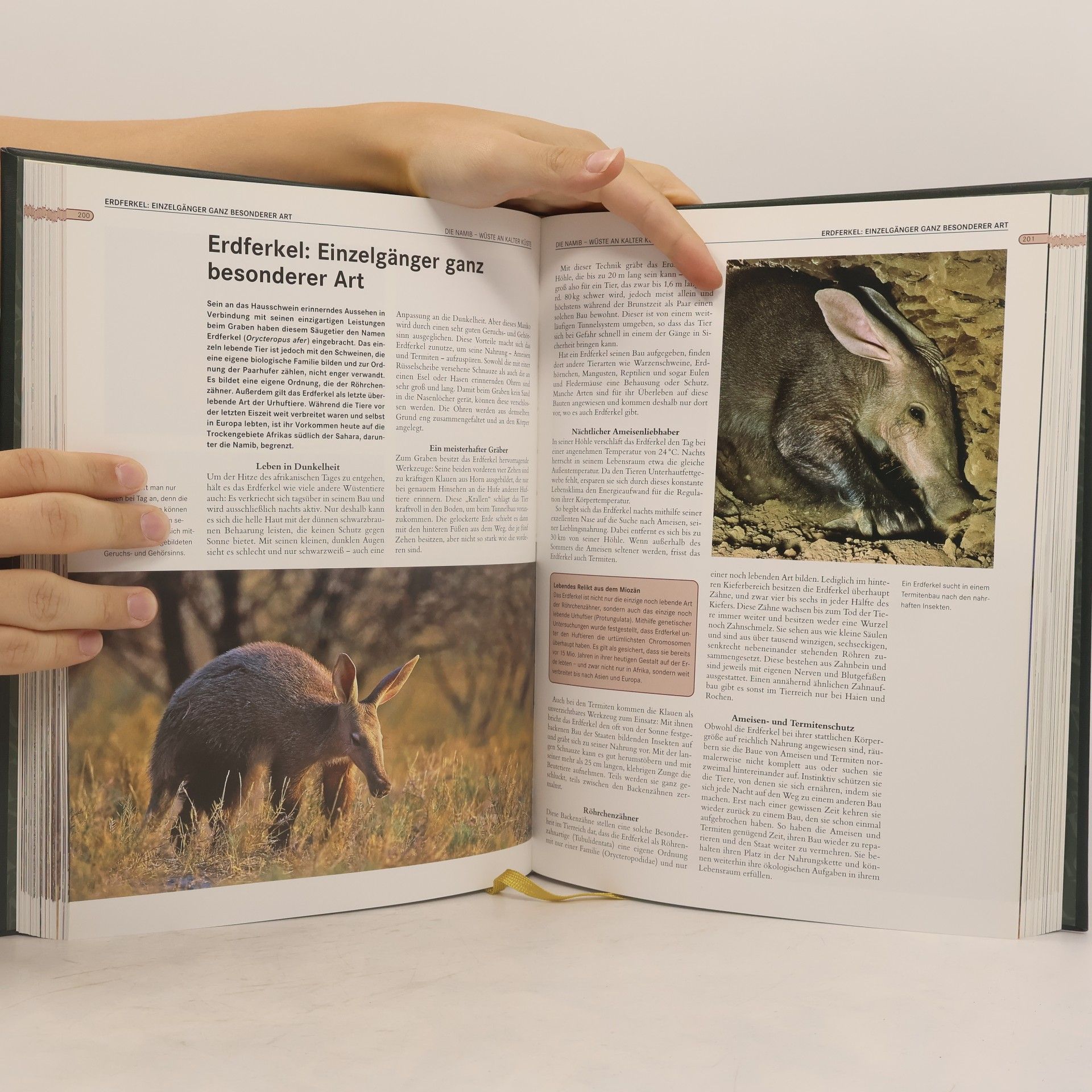 Autorenkollektiv Faszination Natur
