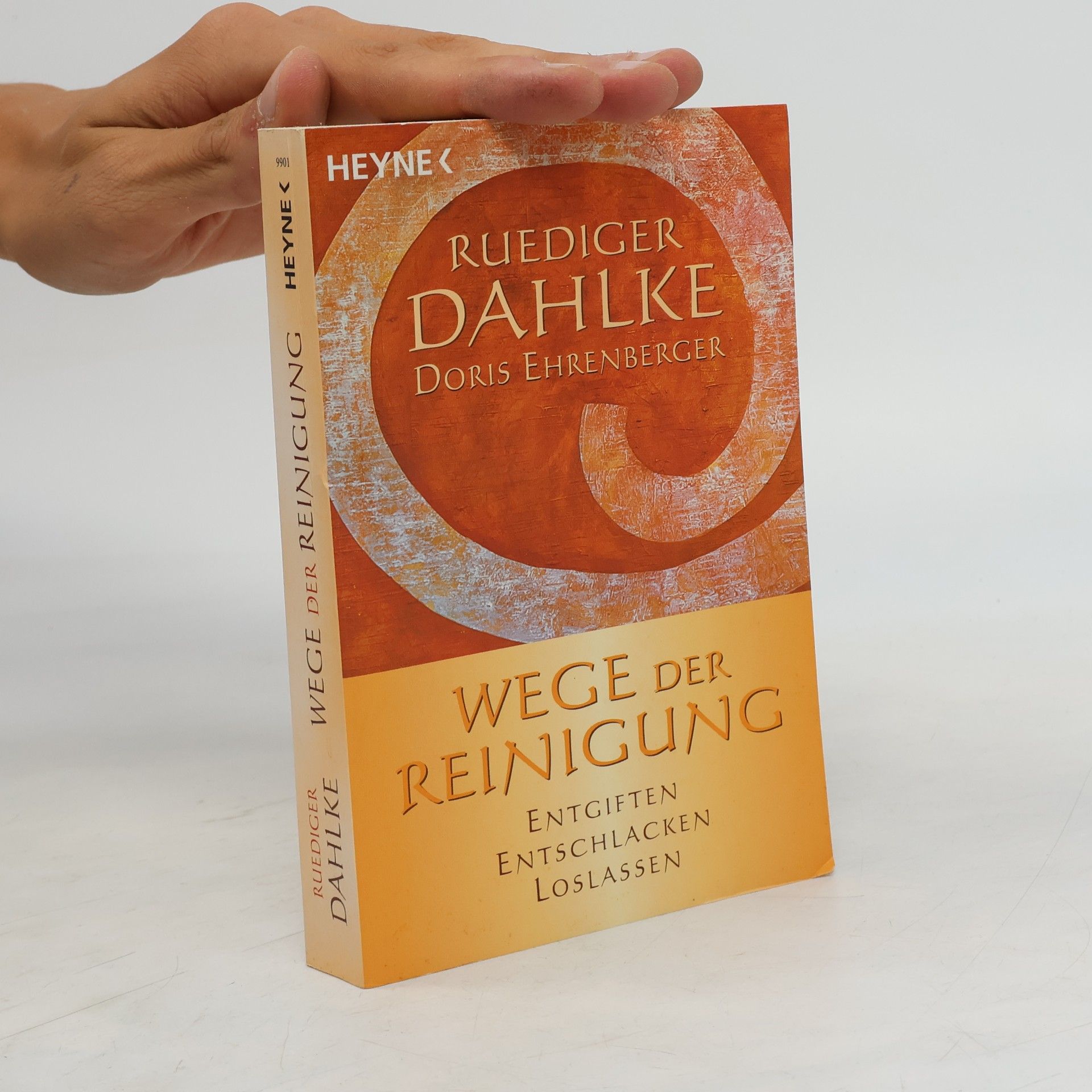 Ruediger Dahlke Wege der Reinigung