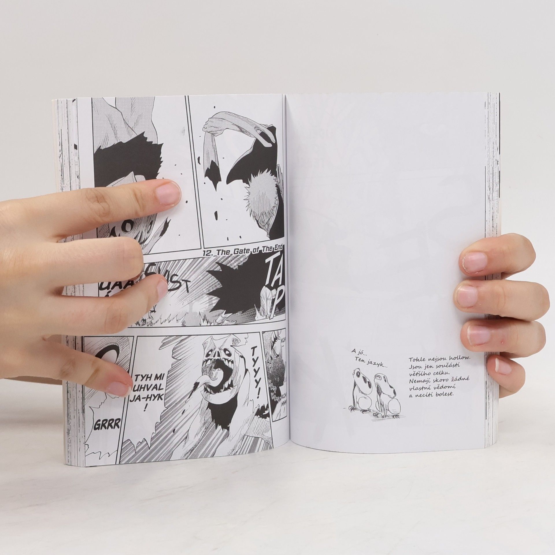 Tite Kubo Bleach. 2, Goodbye parakeet, goodnite my sista