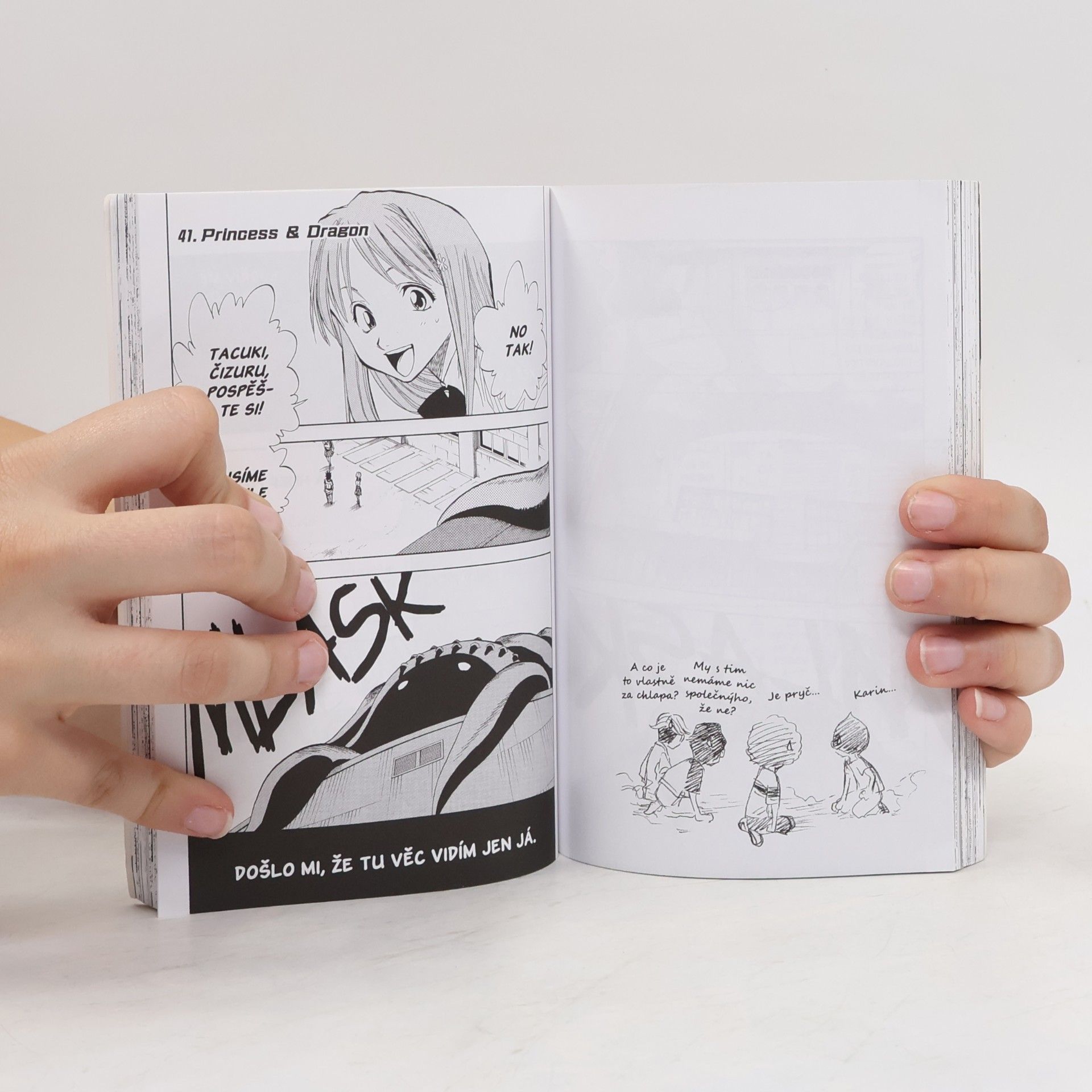 Tite Kubo Bleach. 5, Rightarm of the giant. česky