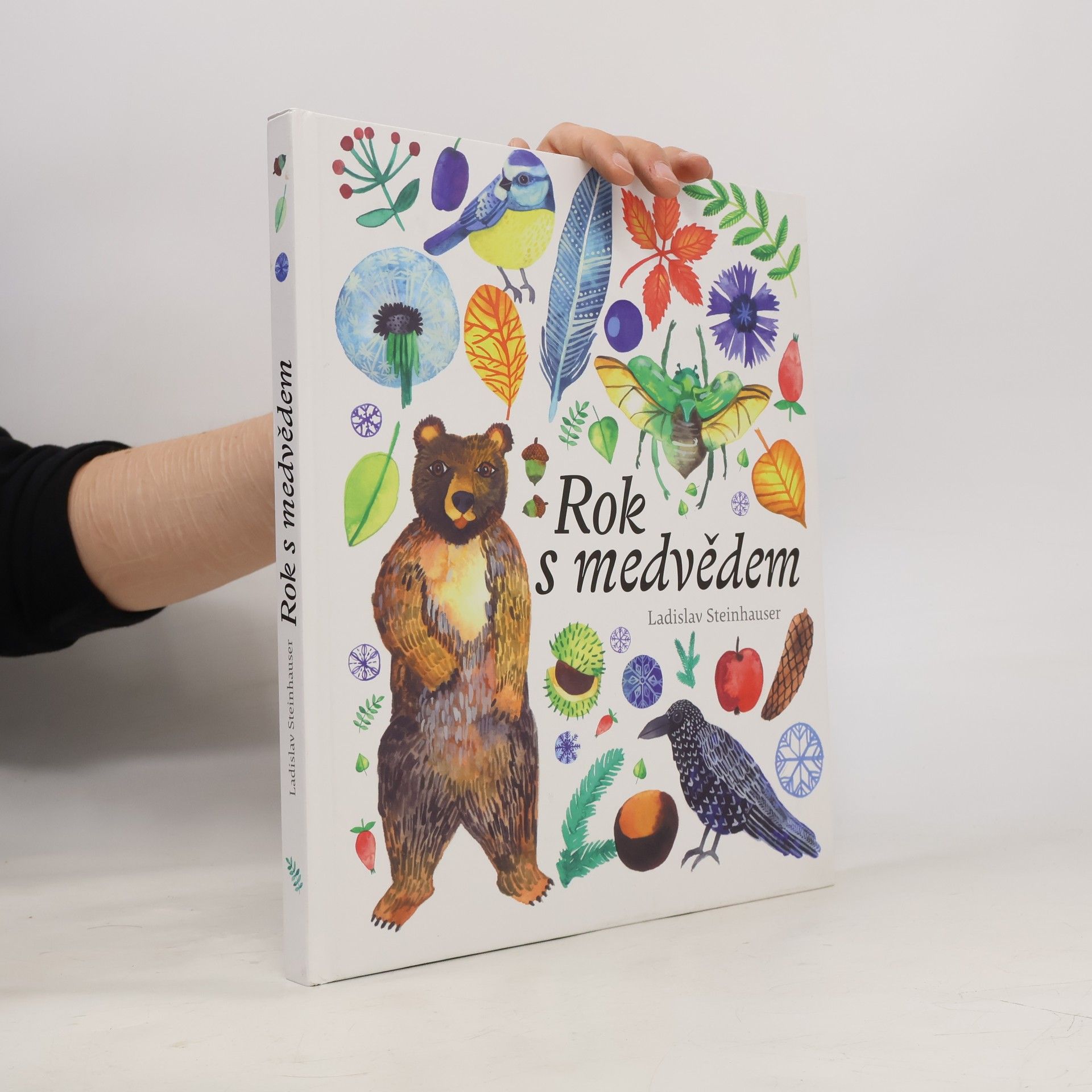 Ladislav Steinhauser Rok s medvědem