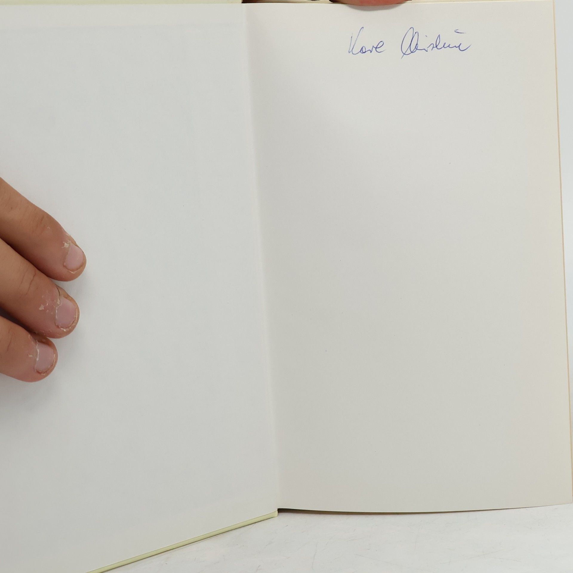 Harold Robbins Die Unersättlichen