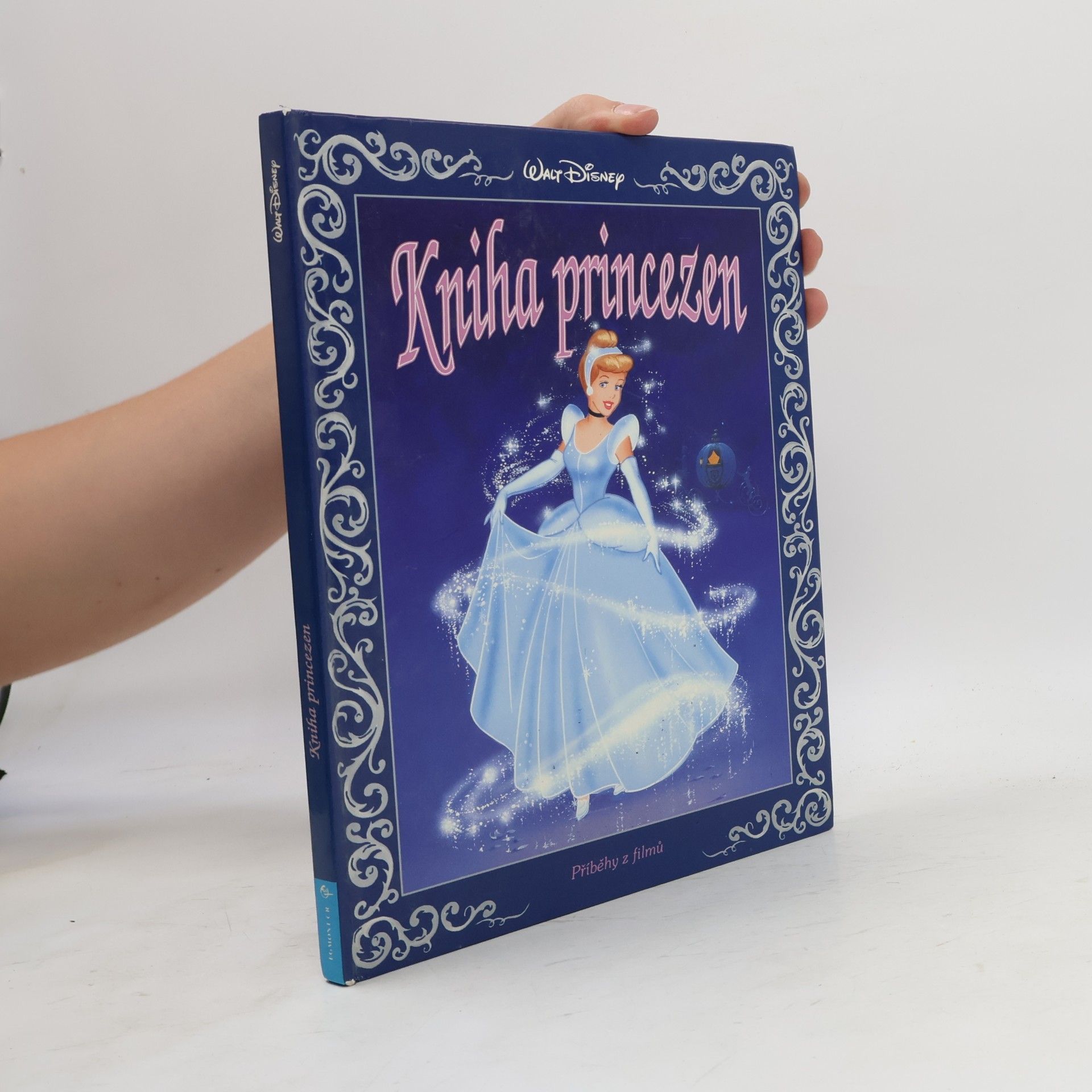 Ann Braybrooks Kniha princezen