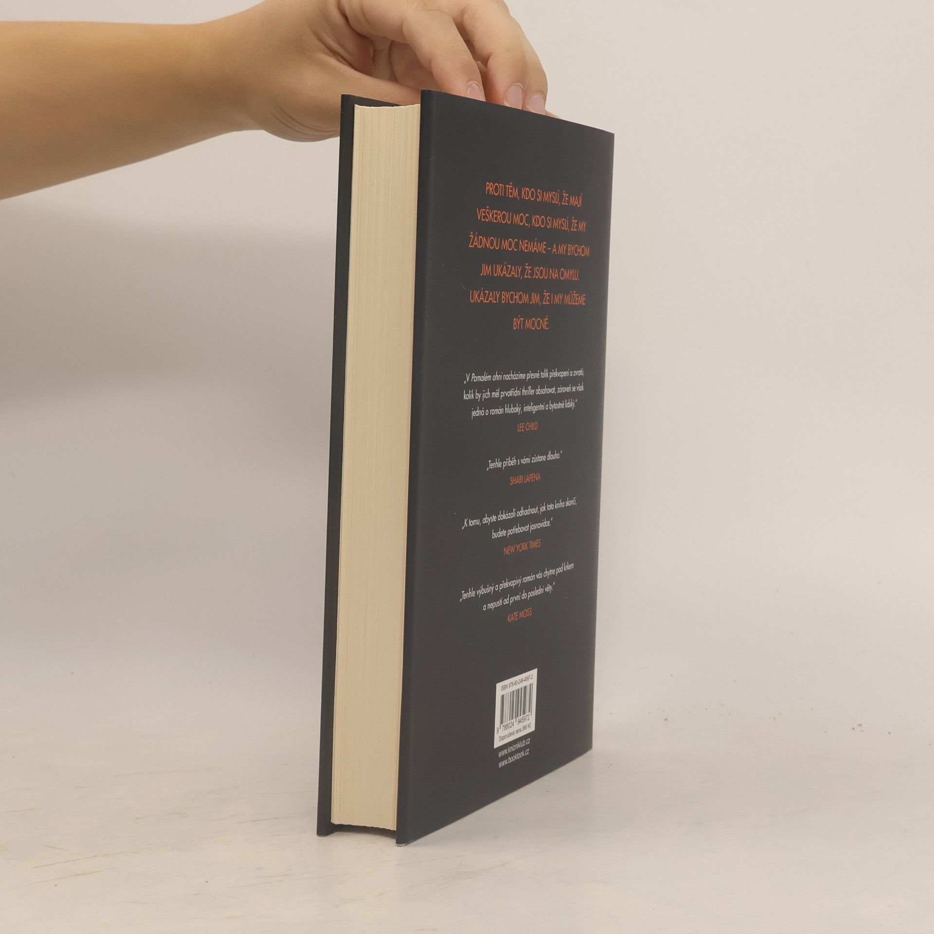 Paula Hawkins Pomalu hořící oheň