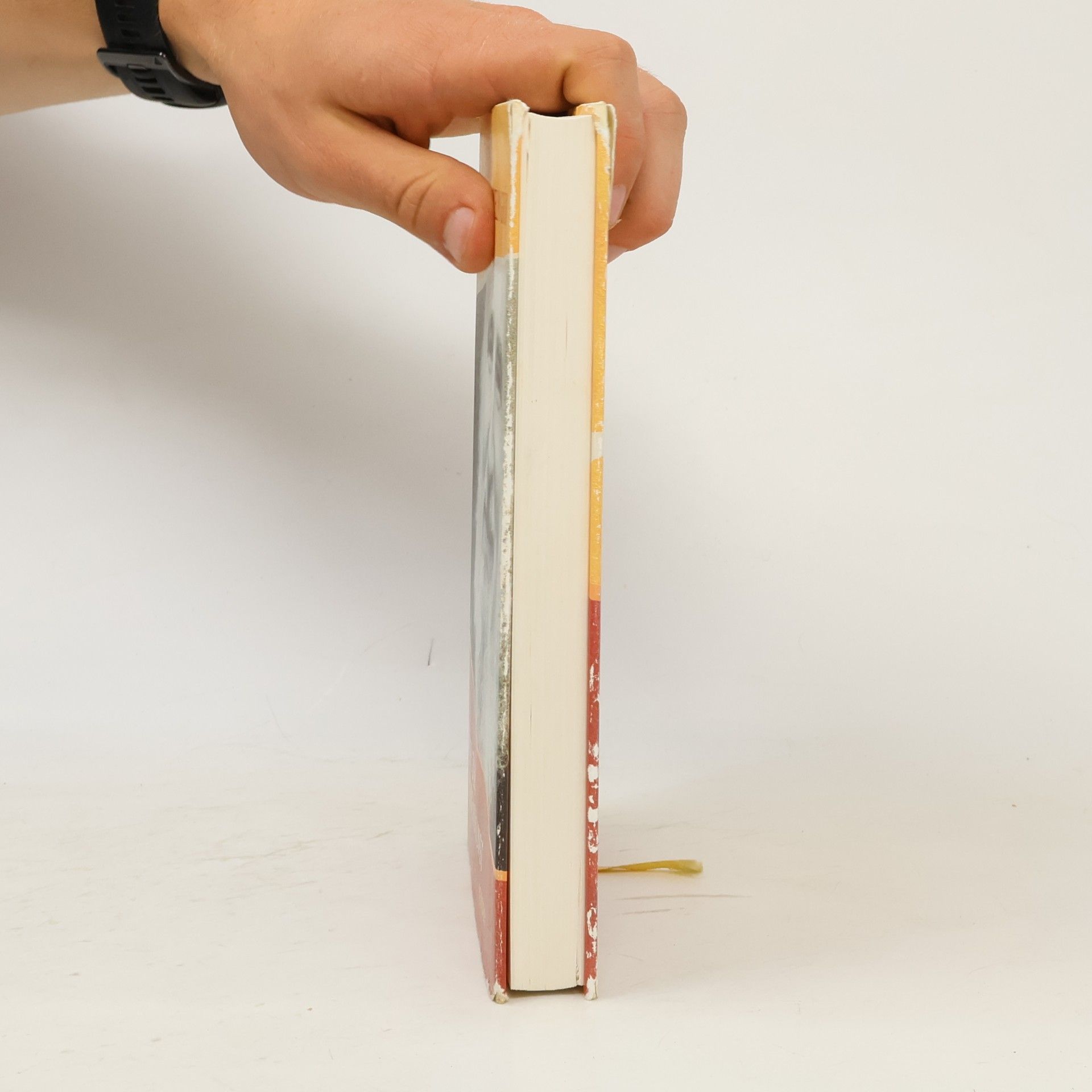 Anselm Grün Buch der Lebenskunst