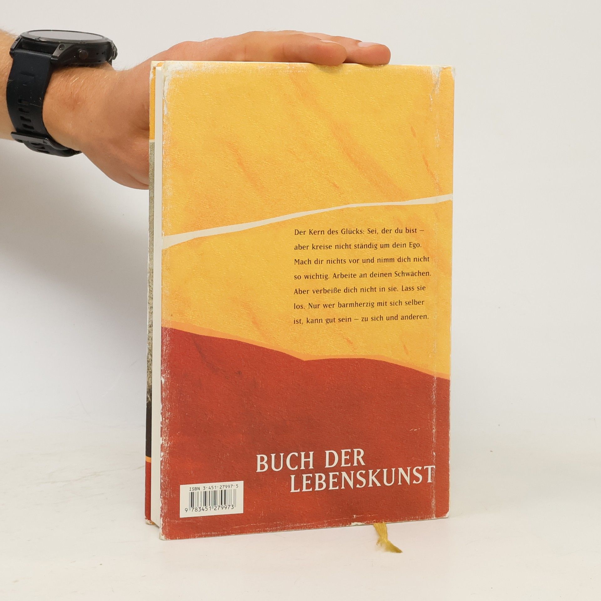 Anselm Grün Buch der Lebenskunst