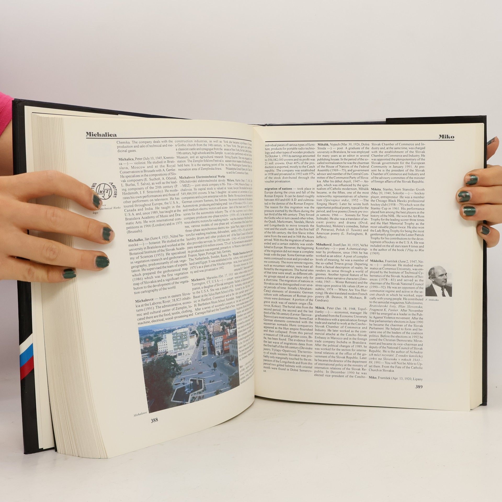 Autores varios Slovakia and the Slovaks. A Concise Encyclopedia