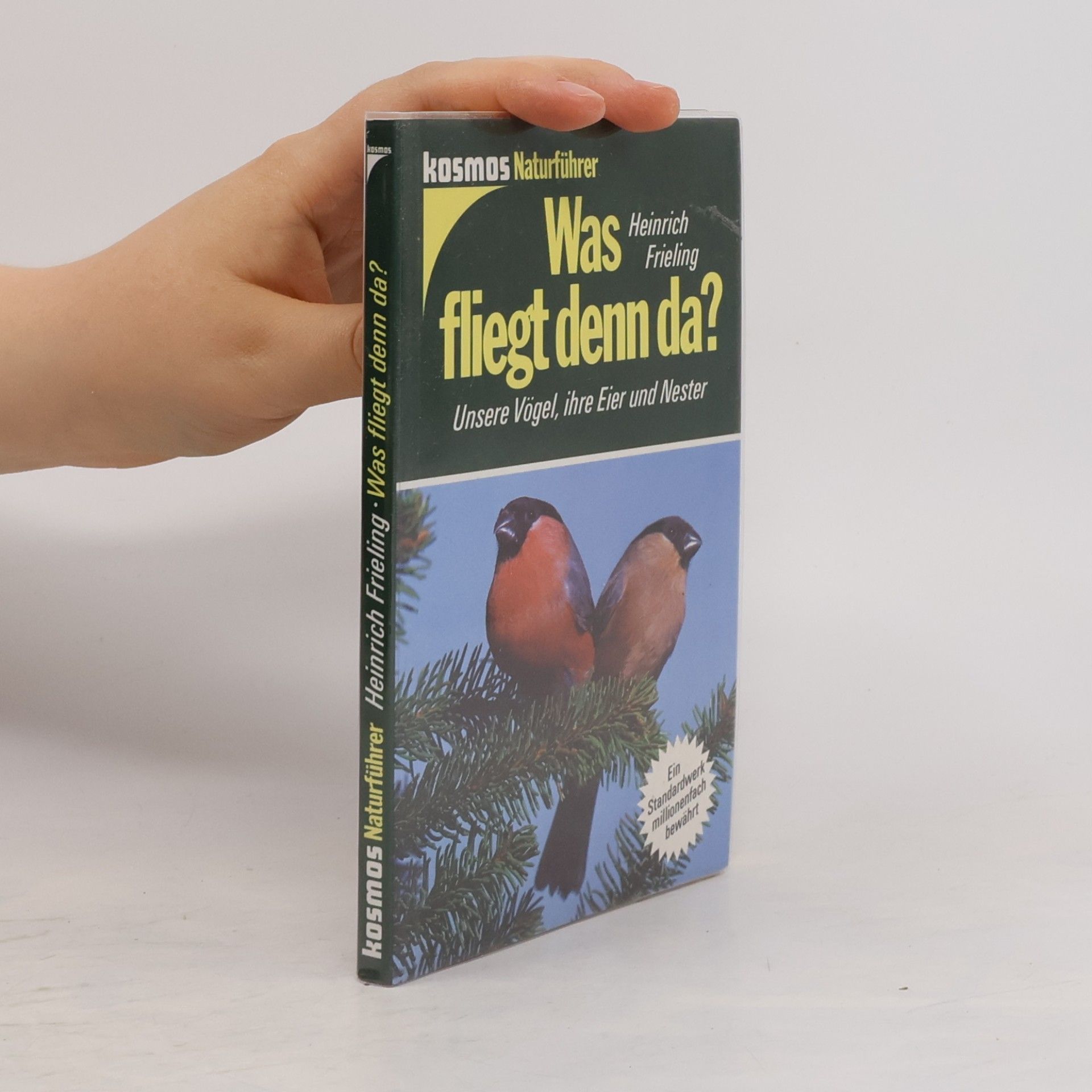 Heinrich Frieling Was fliegt denn da?