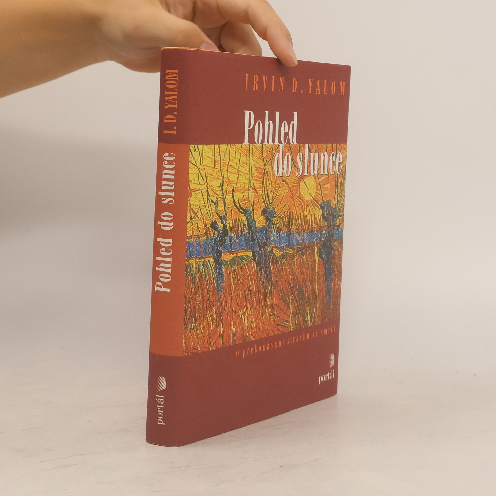 Irvin Yalom Pohled do slunce