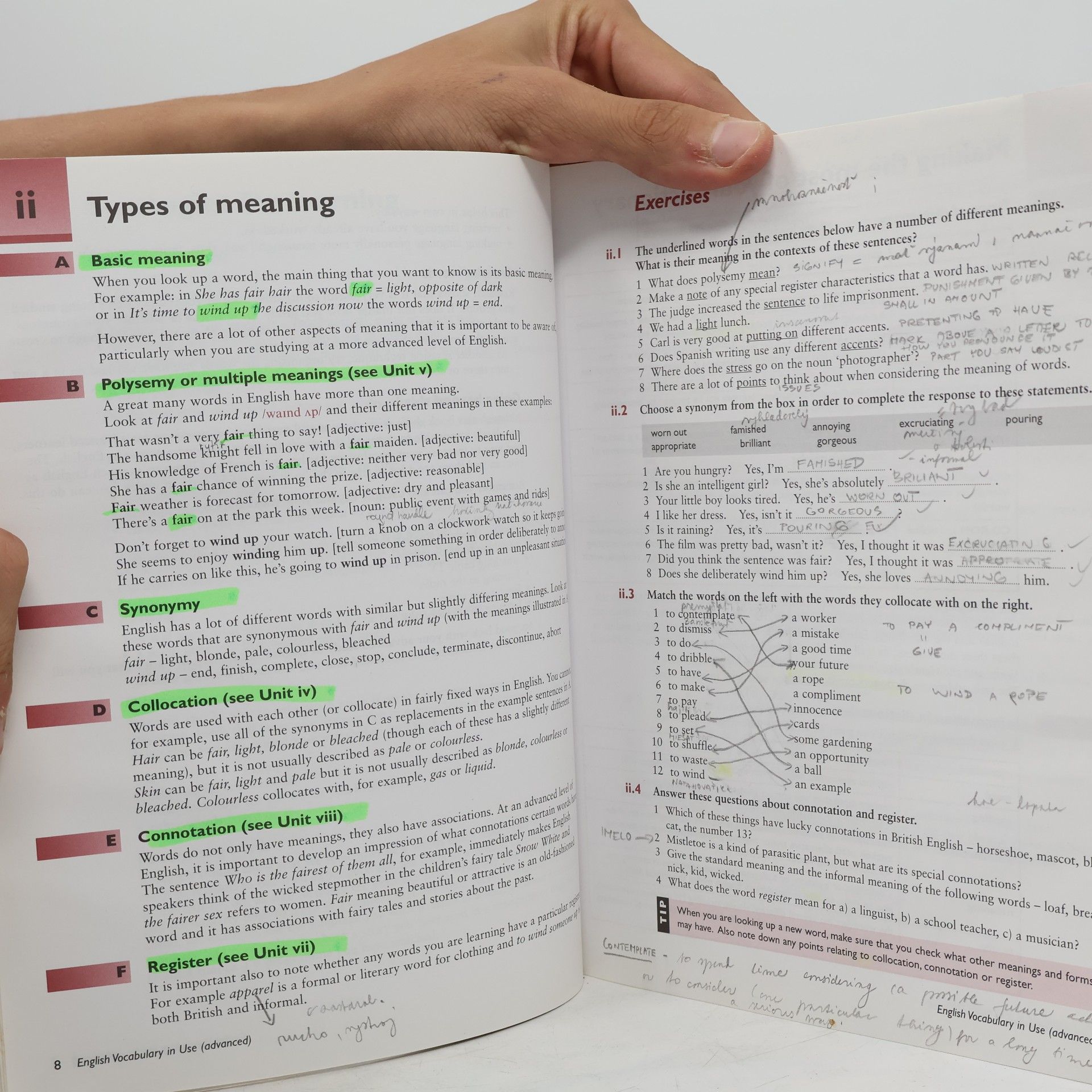 Michael McCarthy English Vocabulary in Use. Advanced