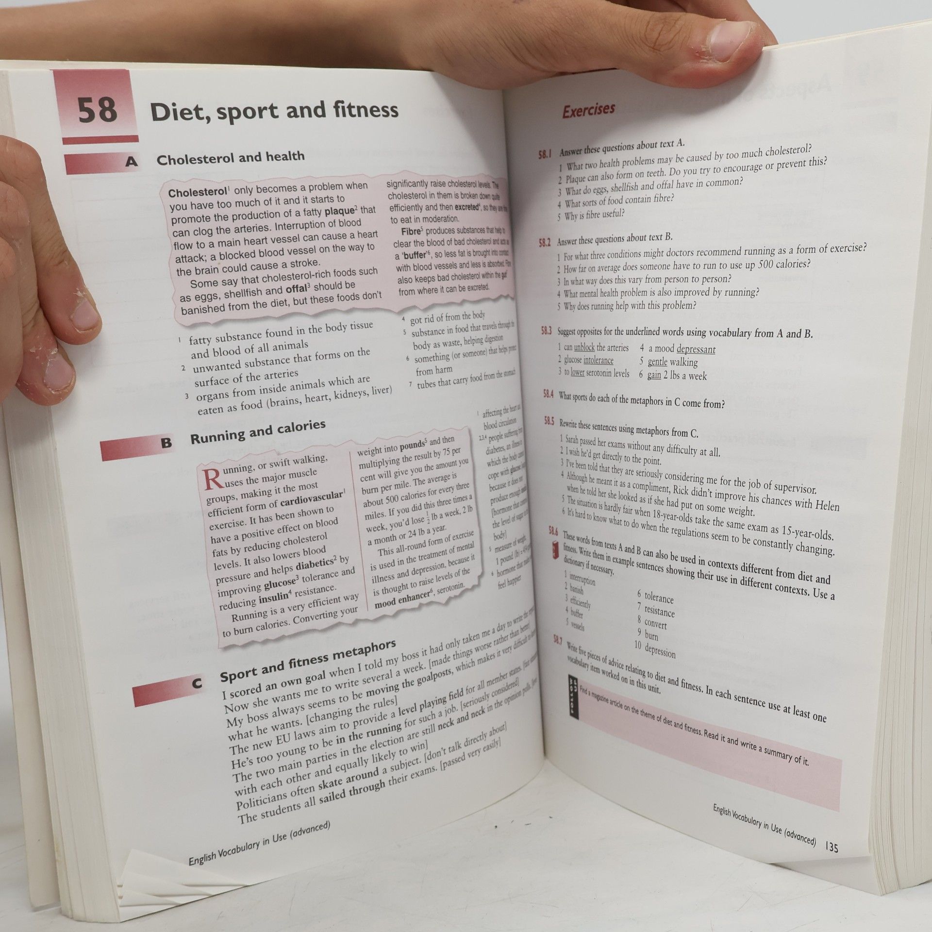Michael McCarthy English Vocabulary in Use. Advanced