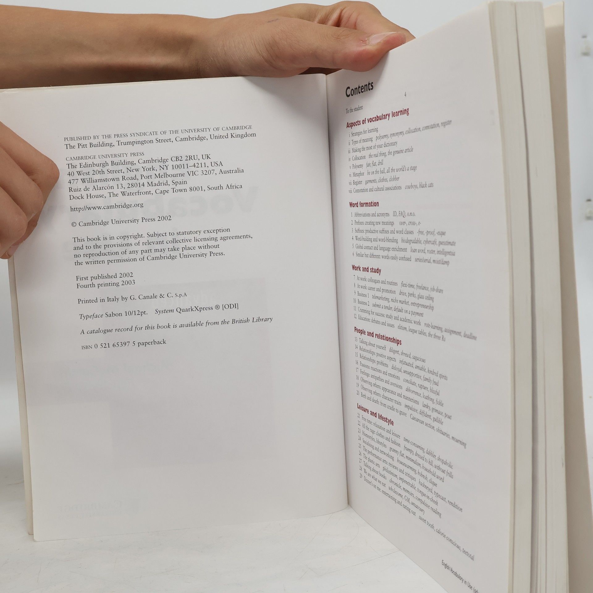 Michael McCarthy English Vocabulary in Use. Advanced