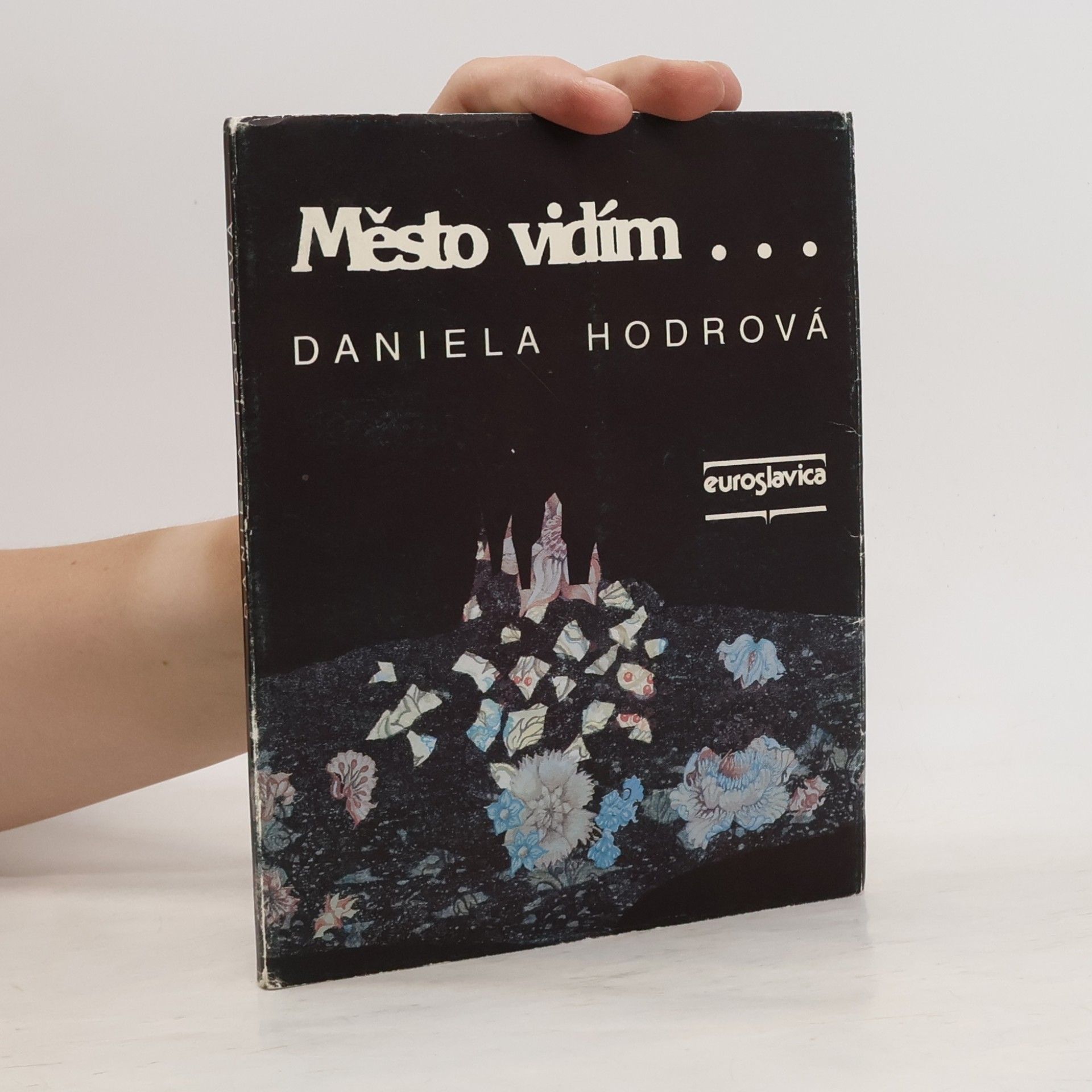 Daniela Hodrova Město vidím...