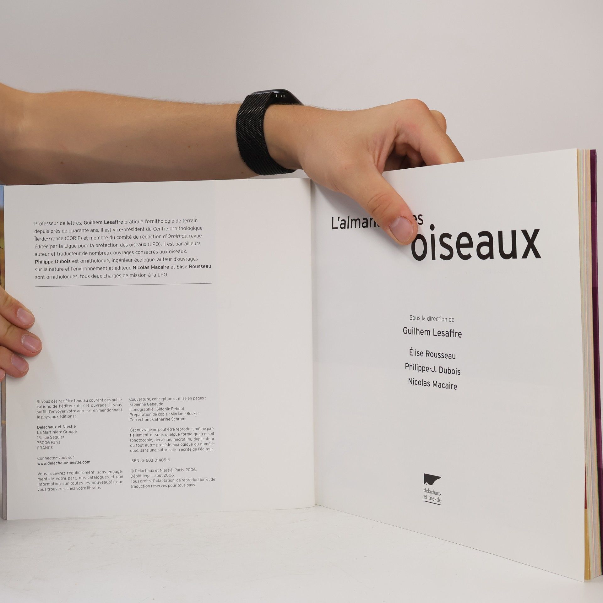 Guilhem Lesaffre L'almanach des oiseaux
