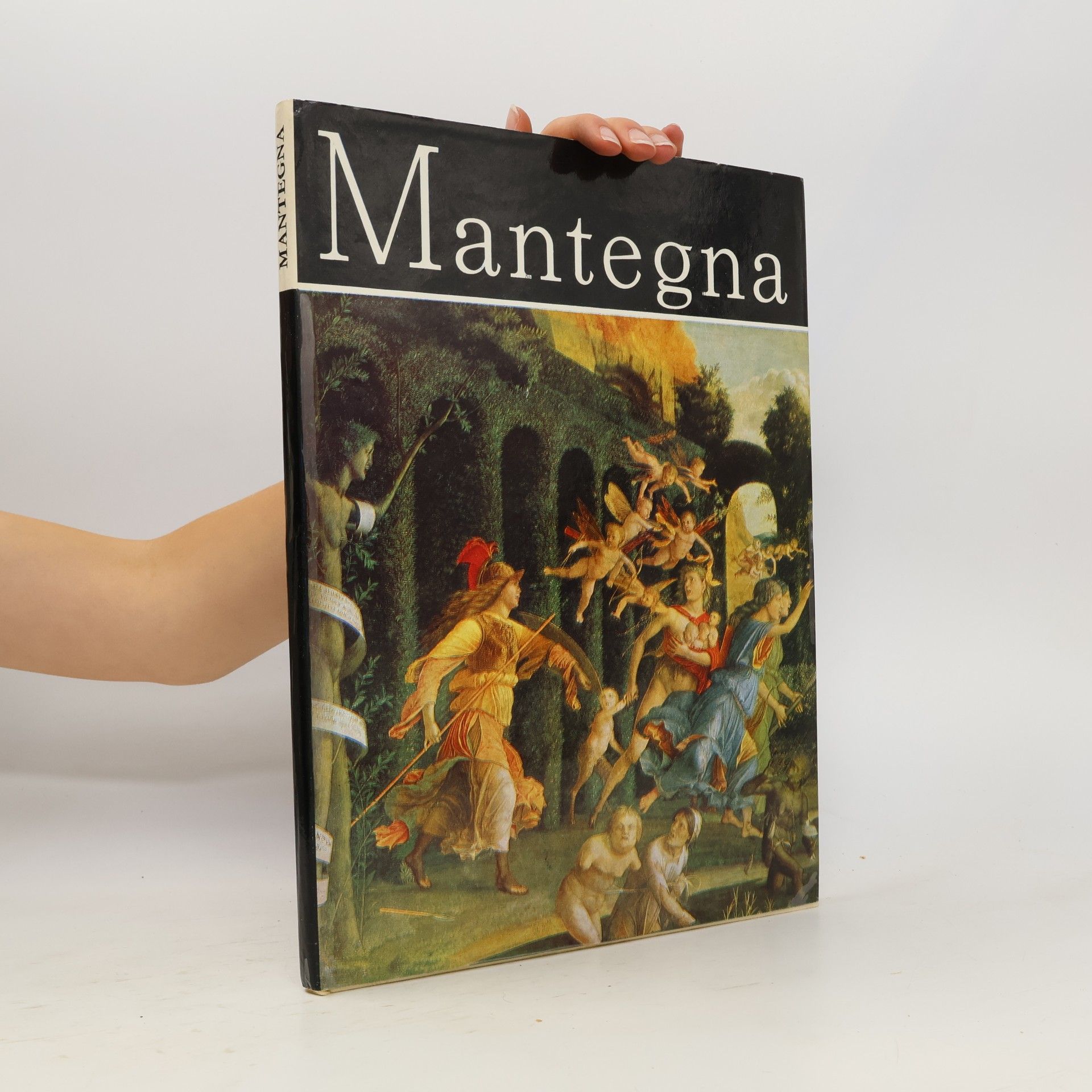 Mantegna 
