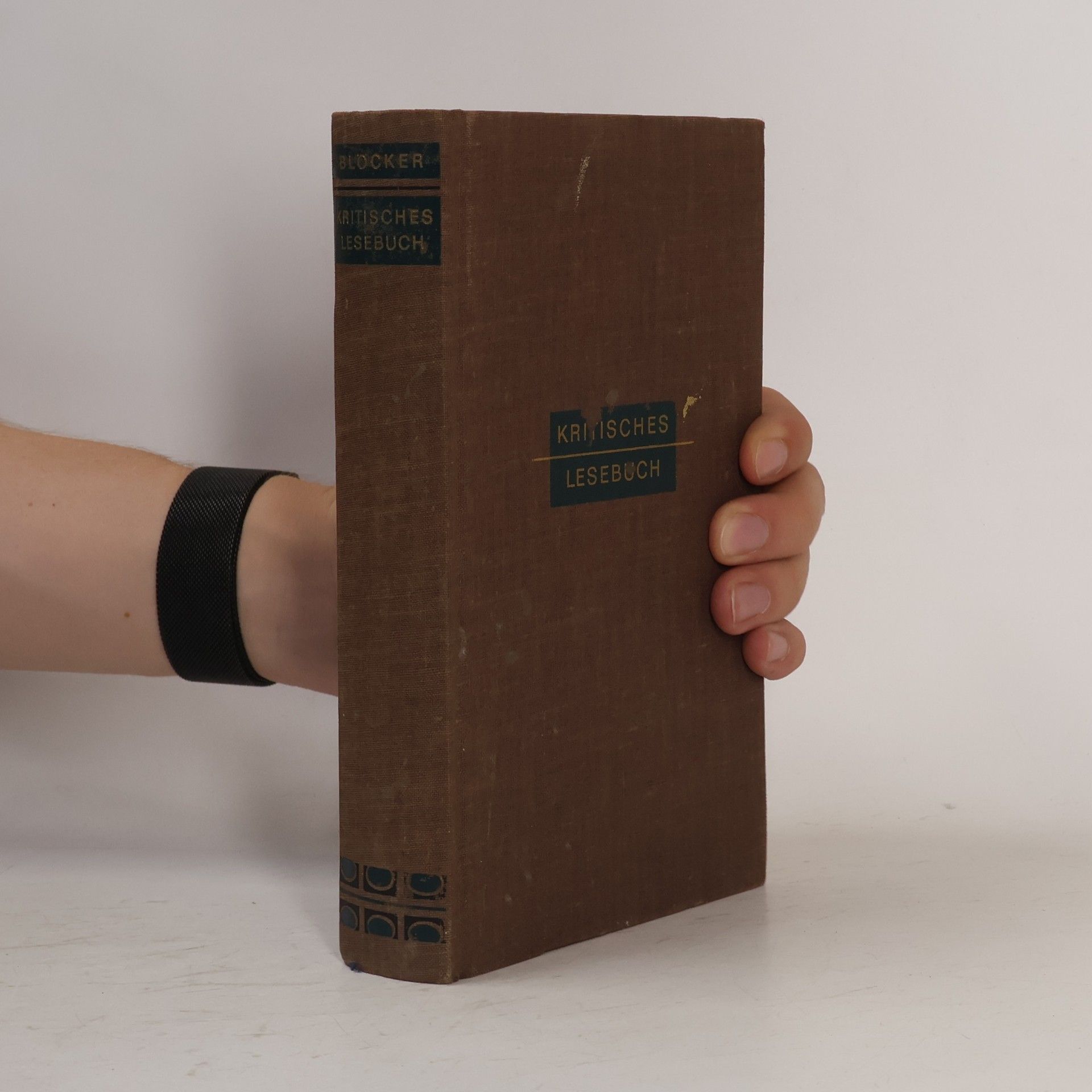 Kritisches Lesebuch