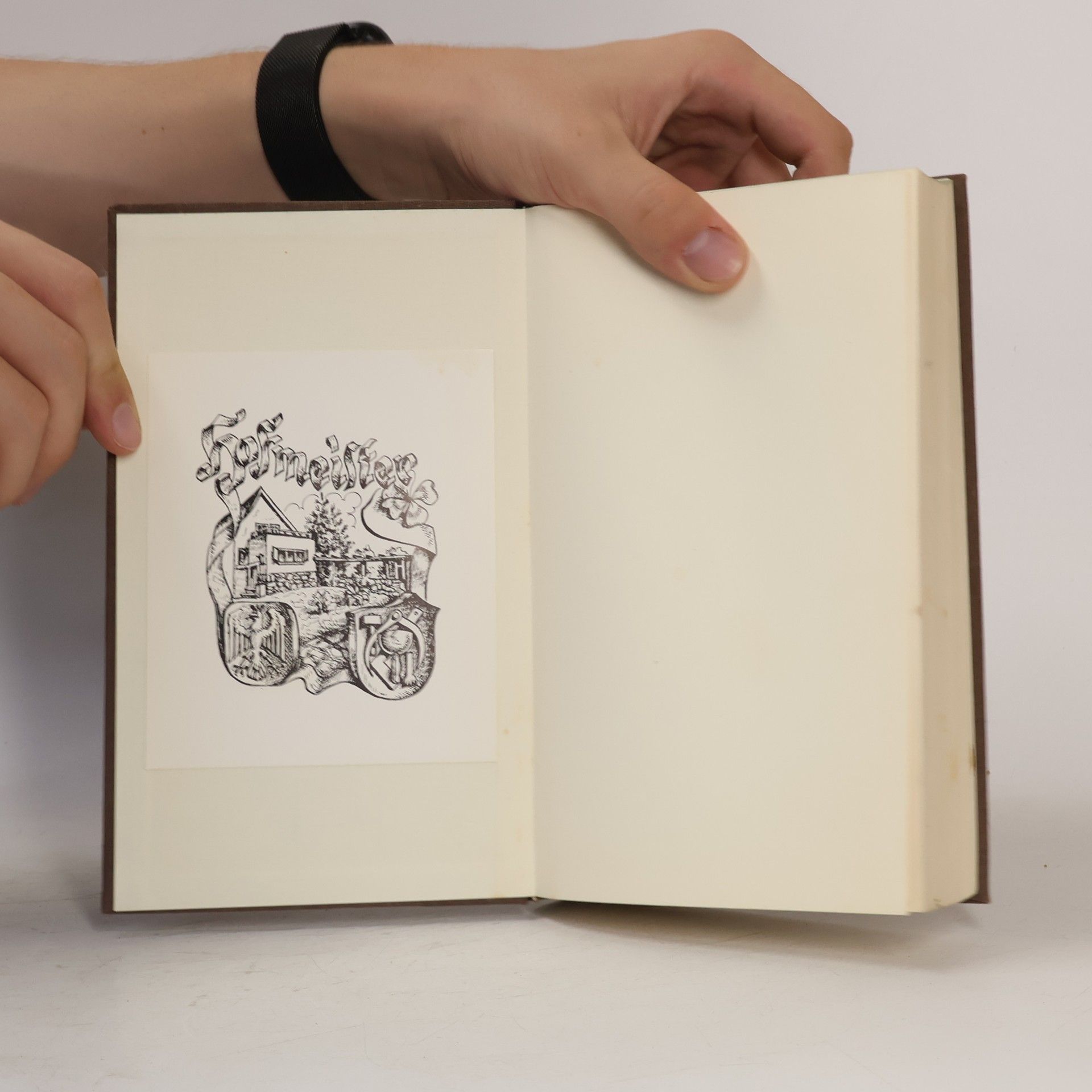 Günter Blöcker Kritisches Lesebuch