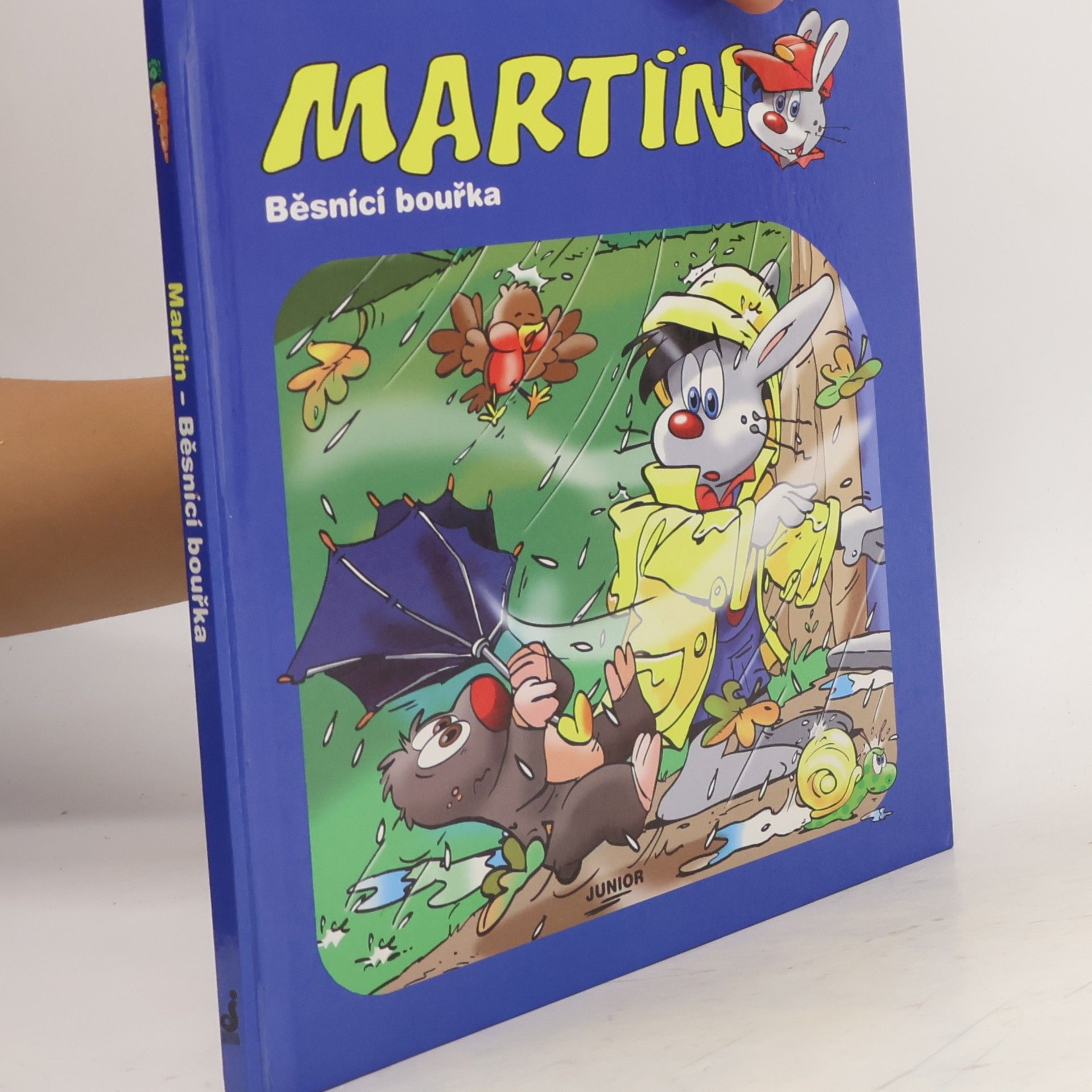 Daniela Řezníčková Martin - Běsnící bouřka
