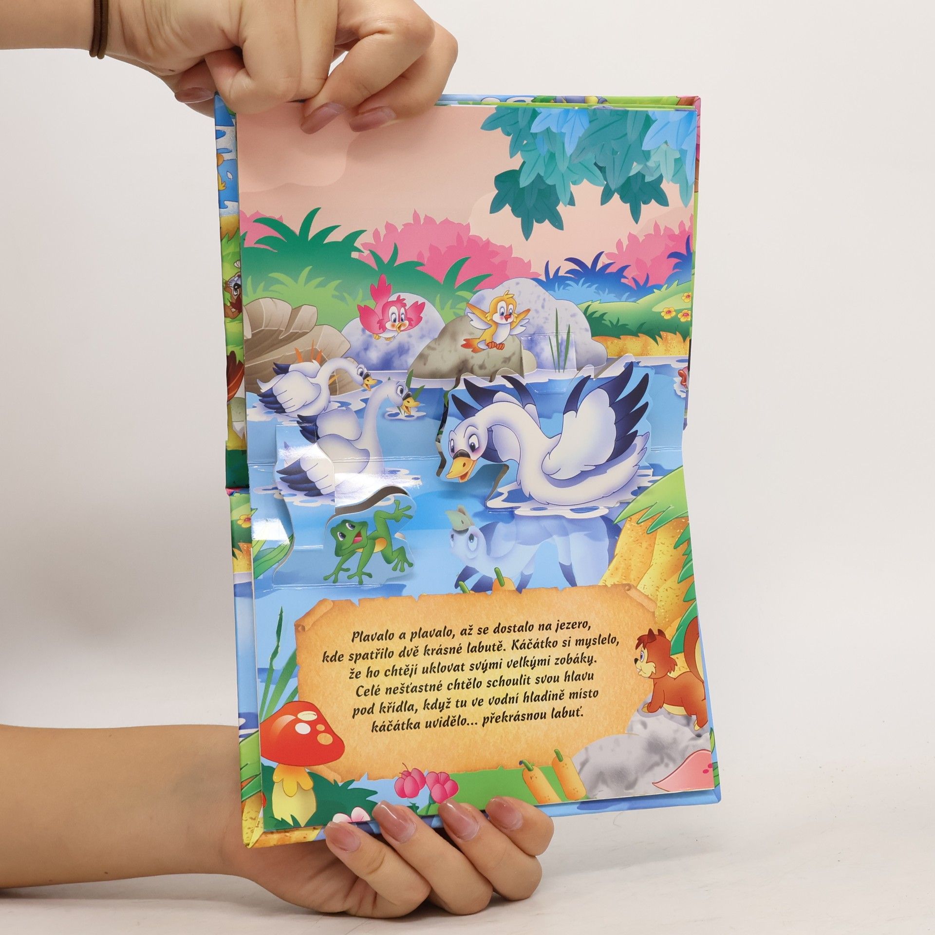 Various authors Ošklivé káčátko (pop-up leporelo)