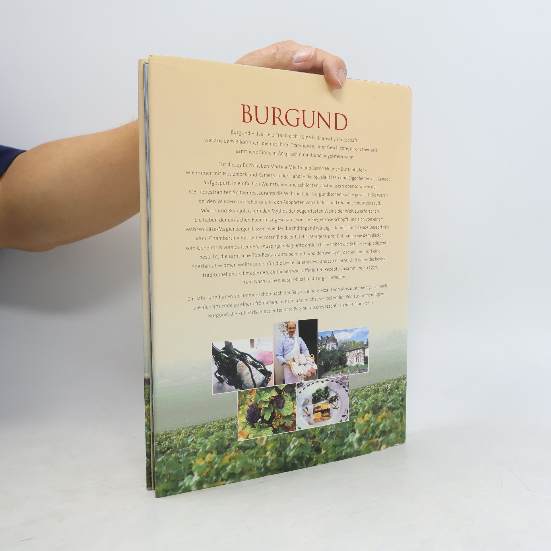 Martina Meuth Burgund