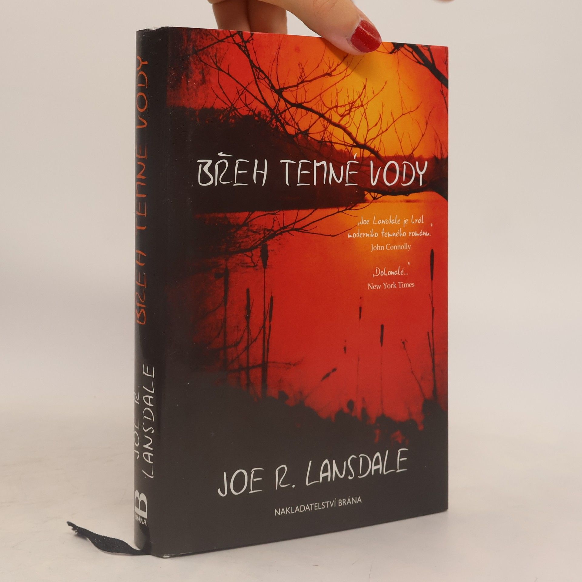 Joe R. Lansdale Břeh temné vody