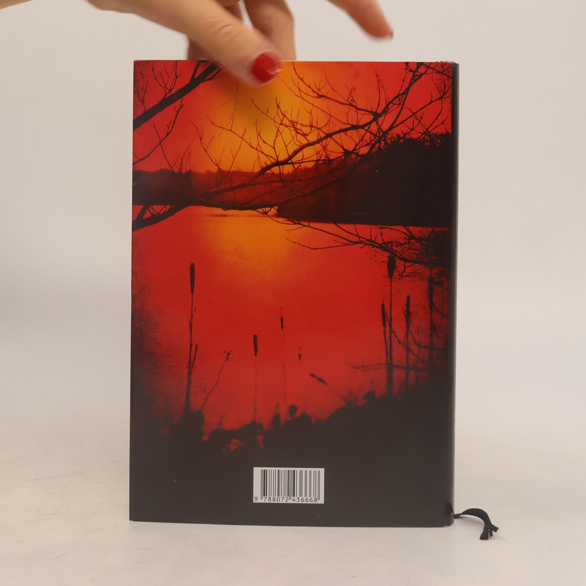 Joe R. Lansdale Břeh temné vody