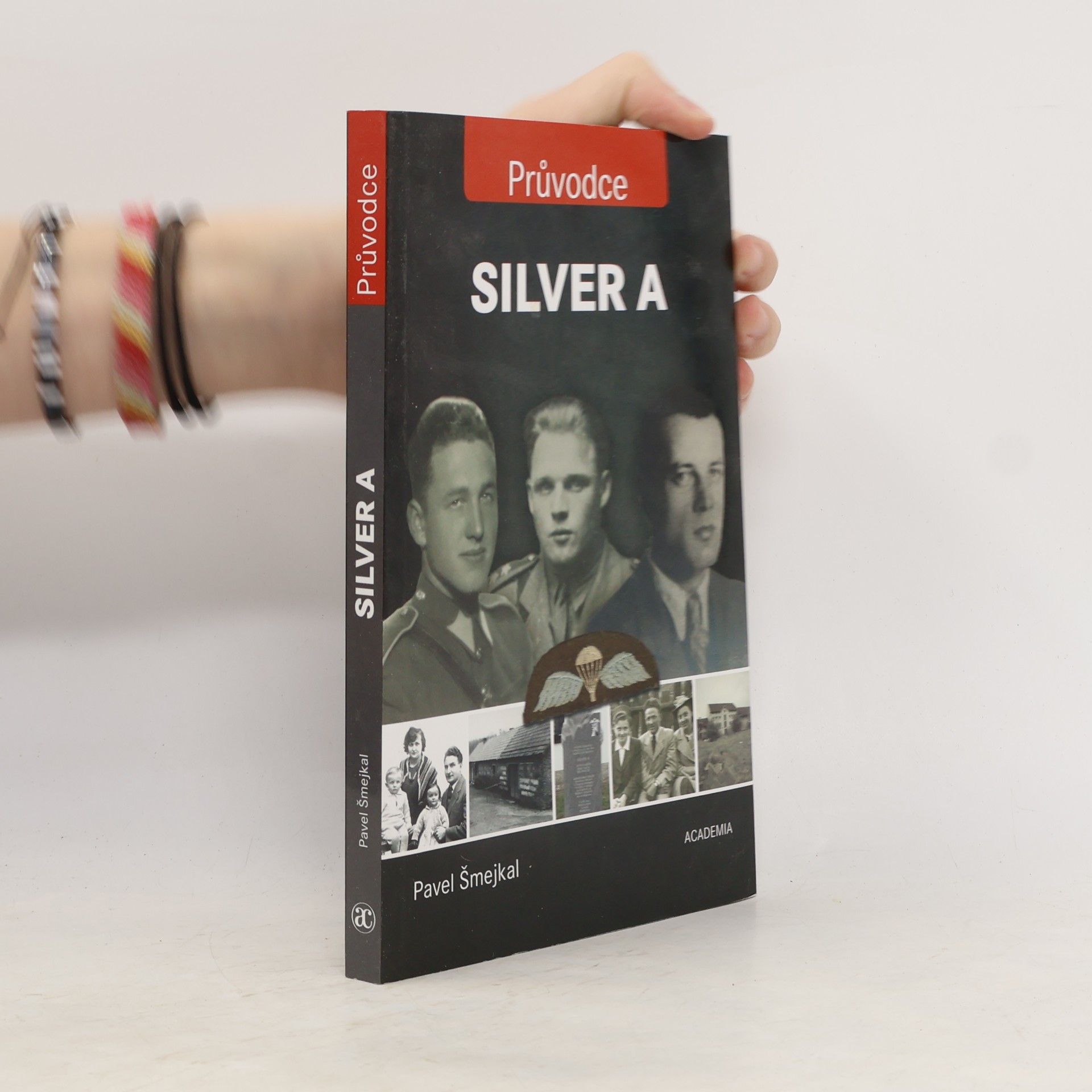 Pavel Šmejkal Silver A