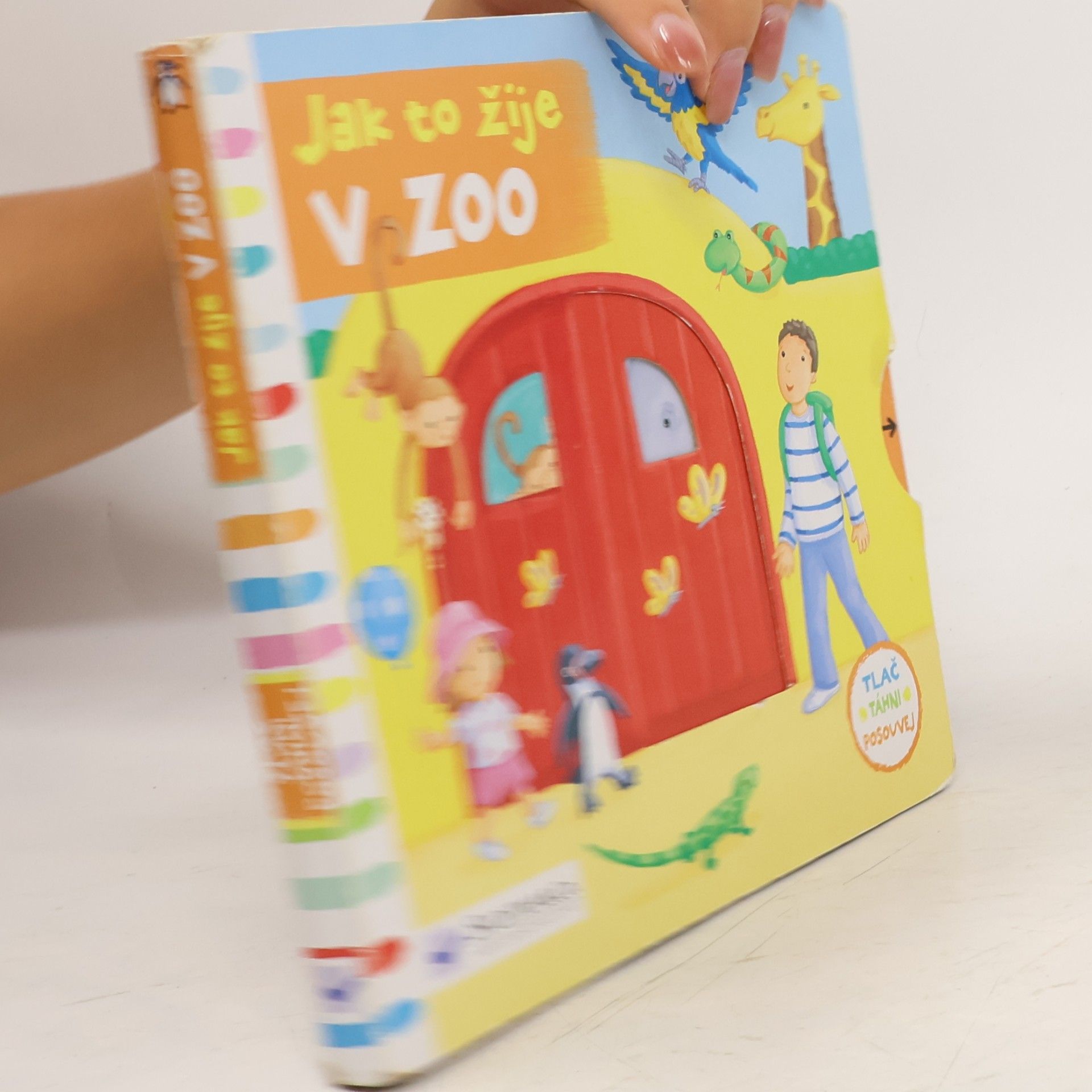 Rebecca Finn Jak to žije v zoo