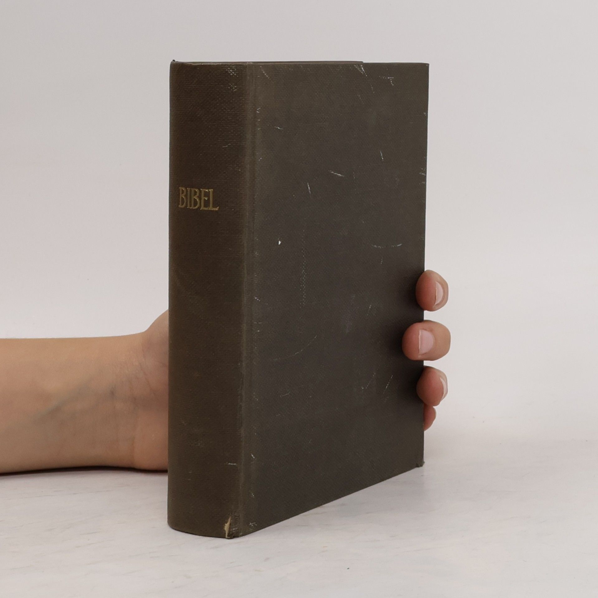 Autorenkollektiv Bibel