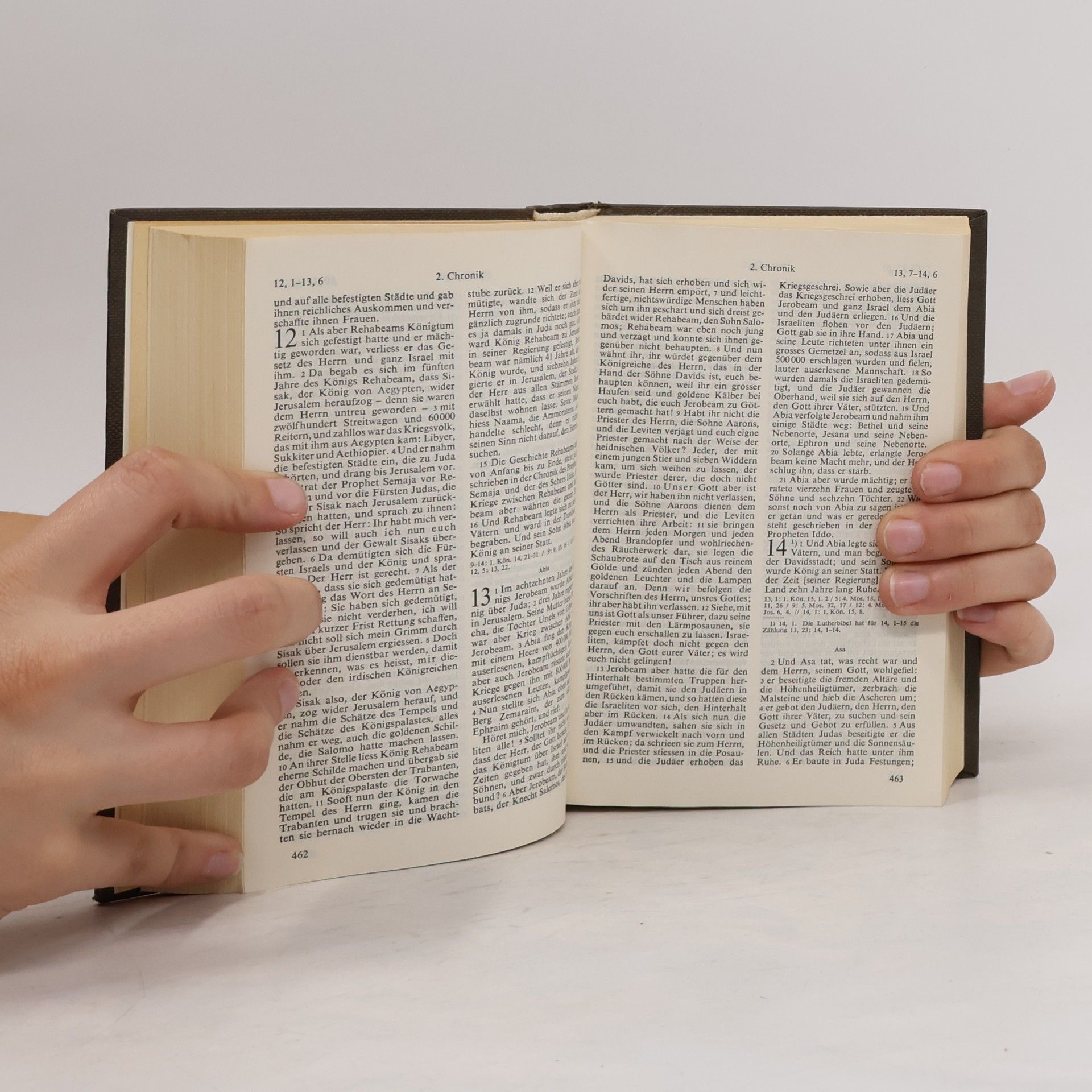 Autores varios Bibel