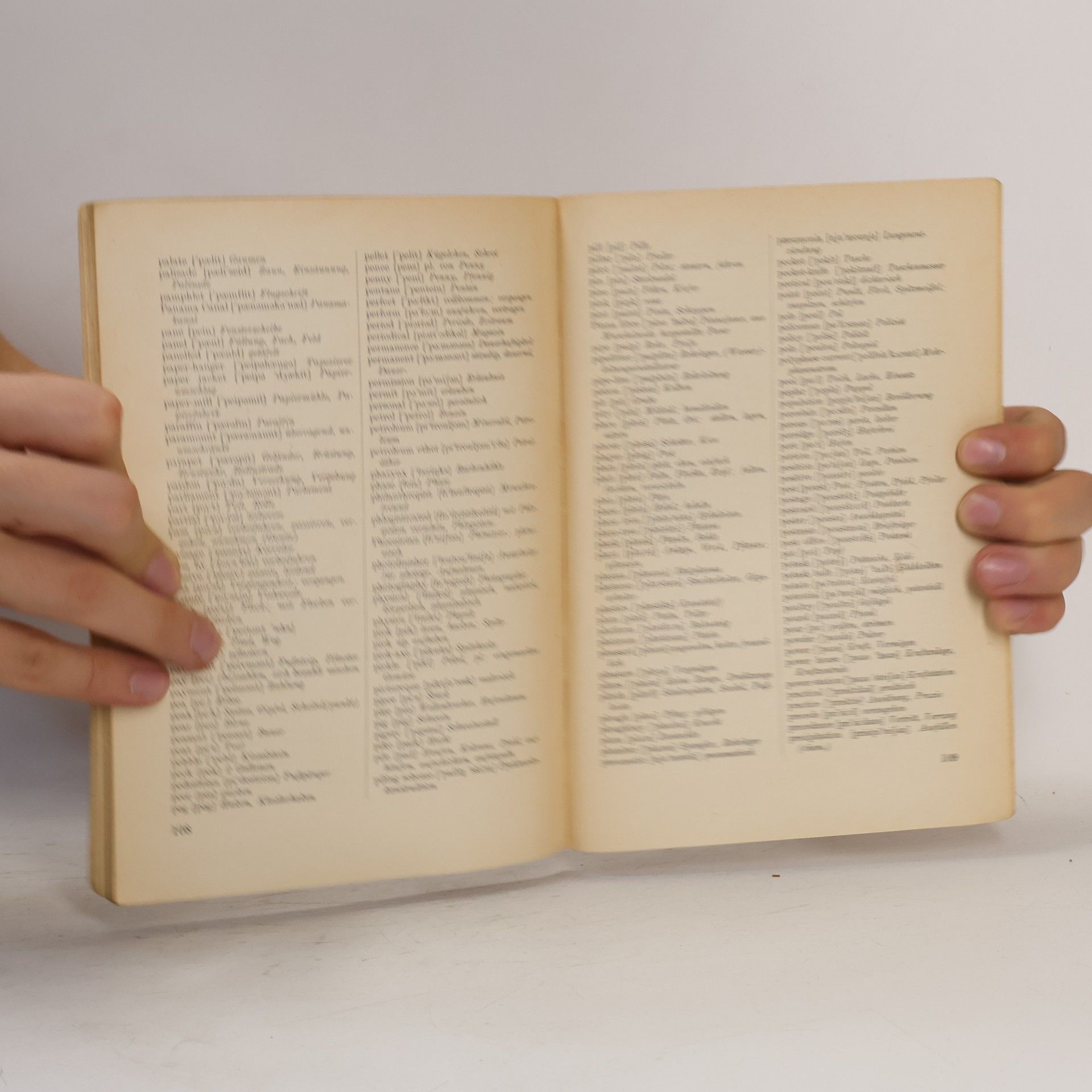 Hans Ginsel First Steps in Technical English