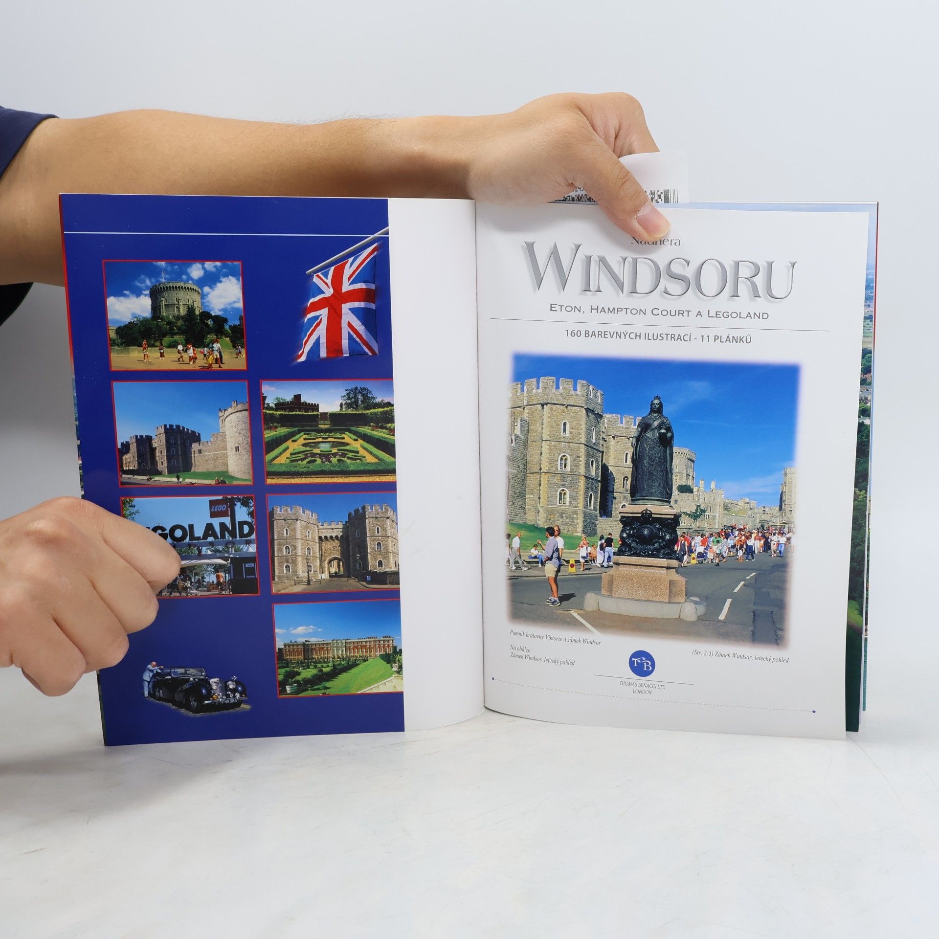 Danuta Balcerowská Nádhera Windsoru