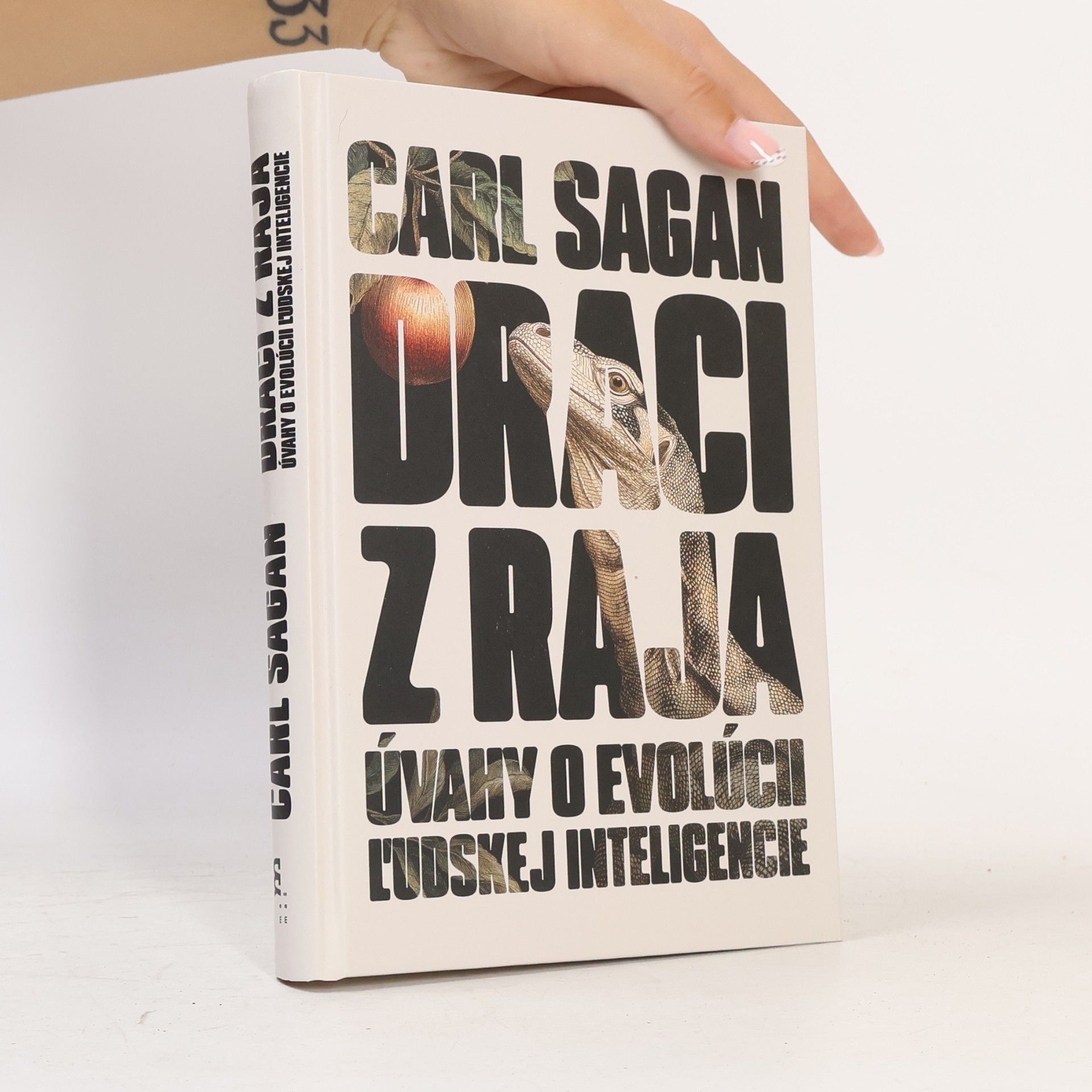 Draci z raja