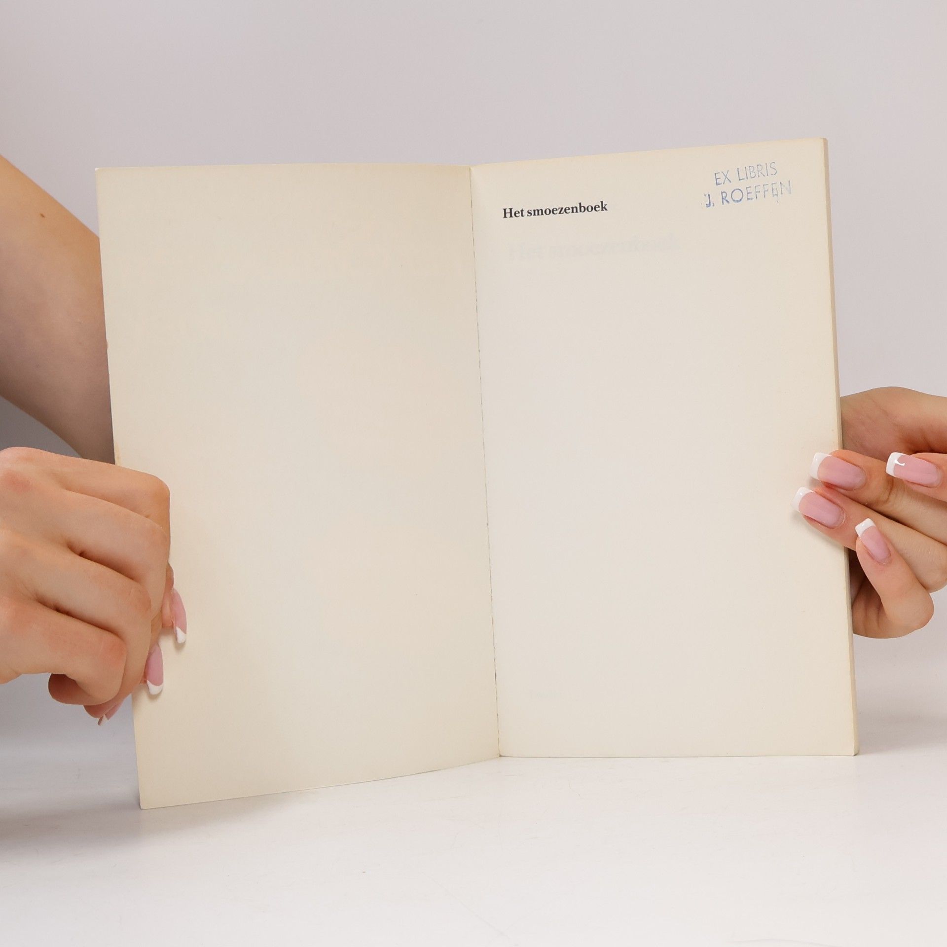 Nico Scheepmaker Het Smoezenboek