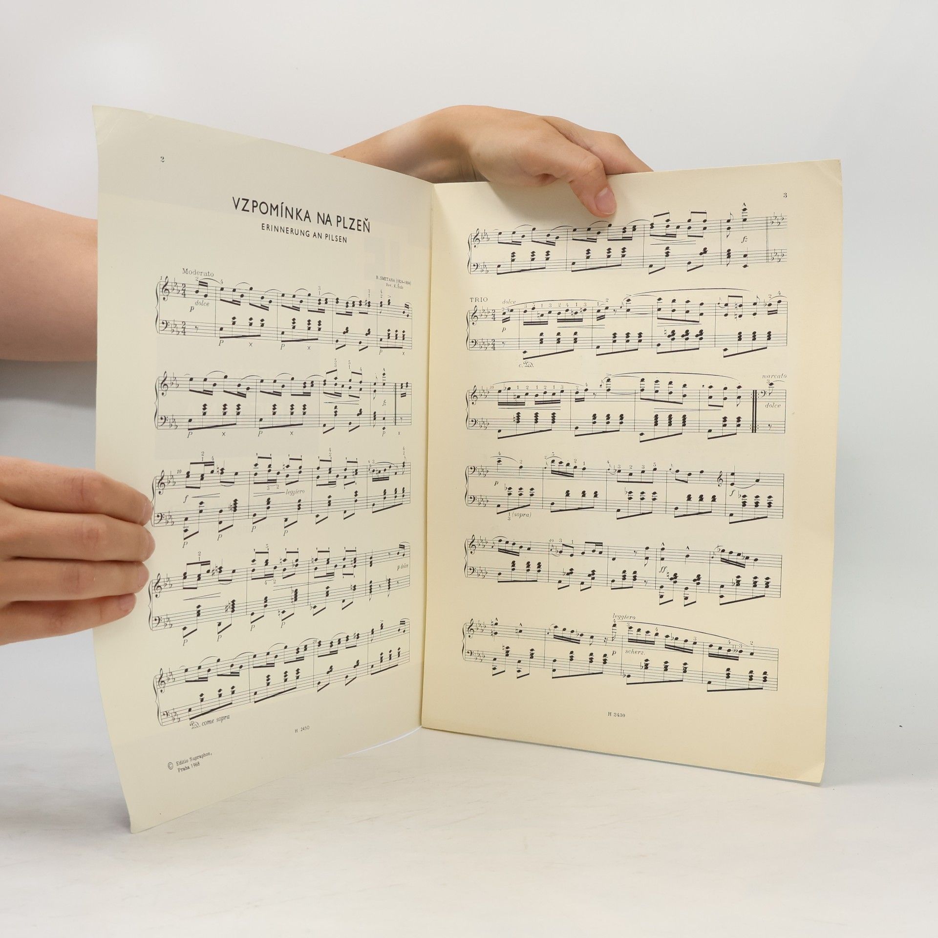 Bedřich Smetana Vzpomínka na Plzeň