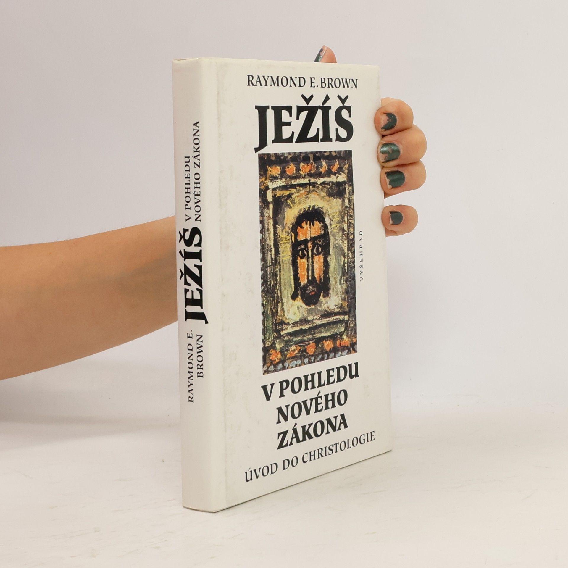 Raymond E. Brown Ježíš v pohledu Nového zákona