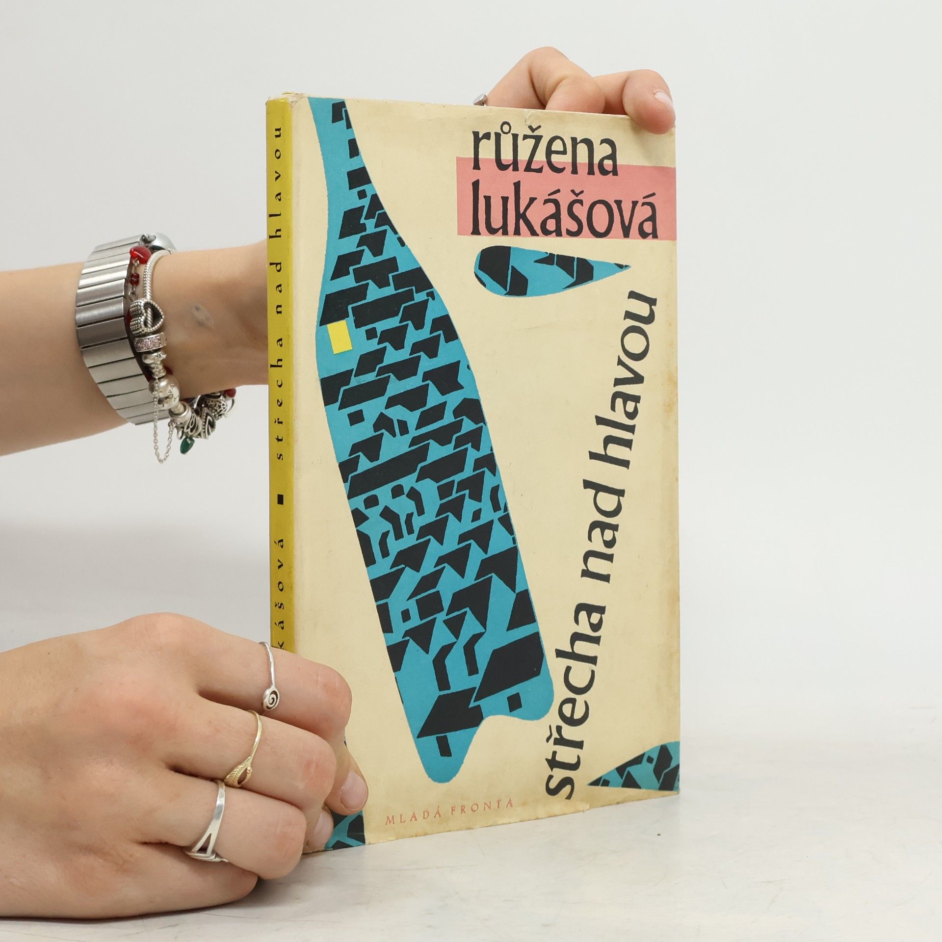 Růžena Lukášová Střecha nad hlavou