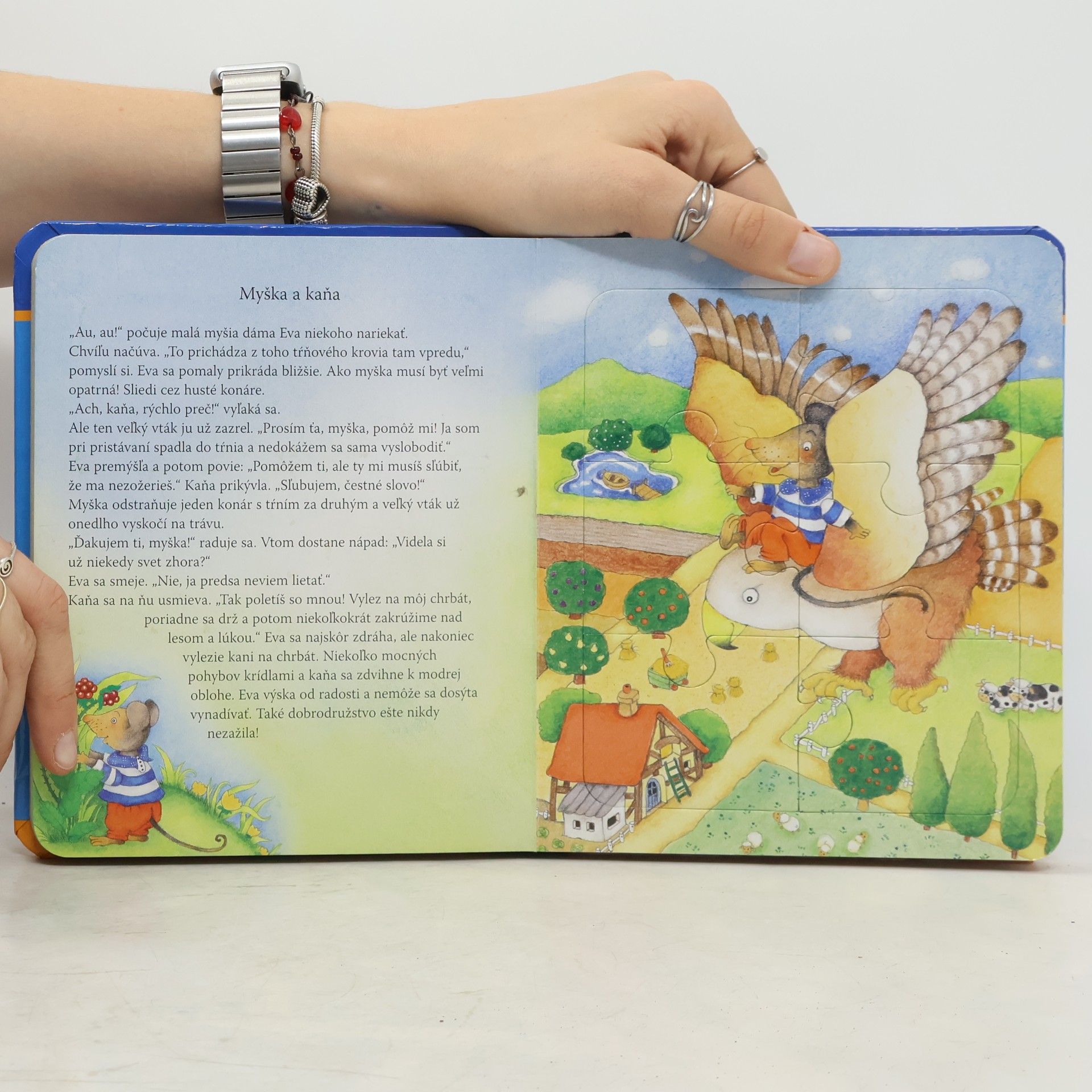 Kolektiv autorů Knižka s puzzle. Na dobrú noc