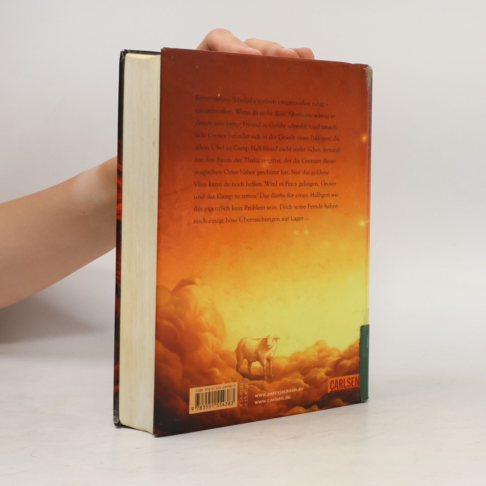 Rick Riordan Percy Jackson Band. Im Bann des Zyklopen