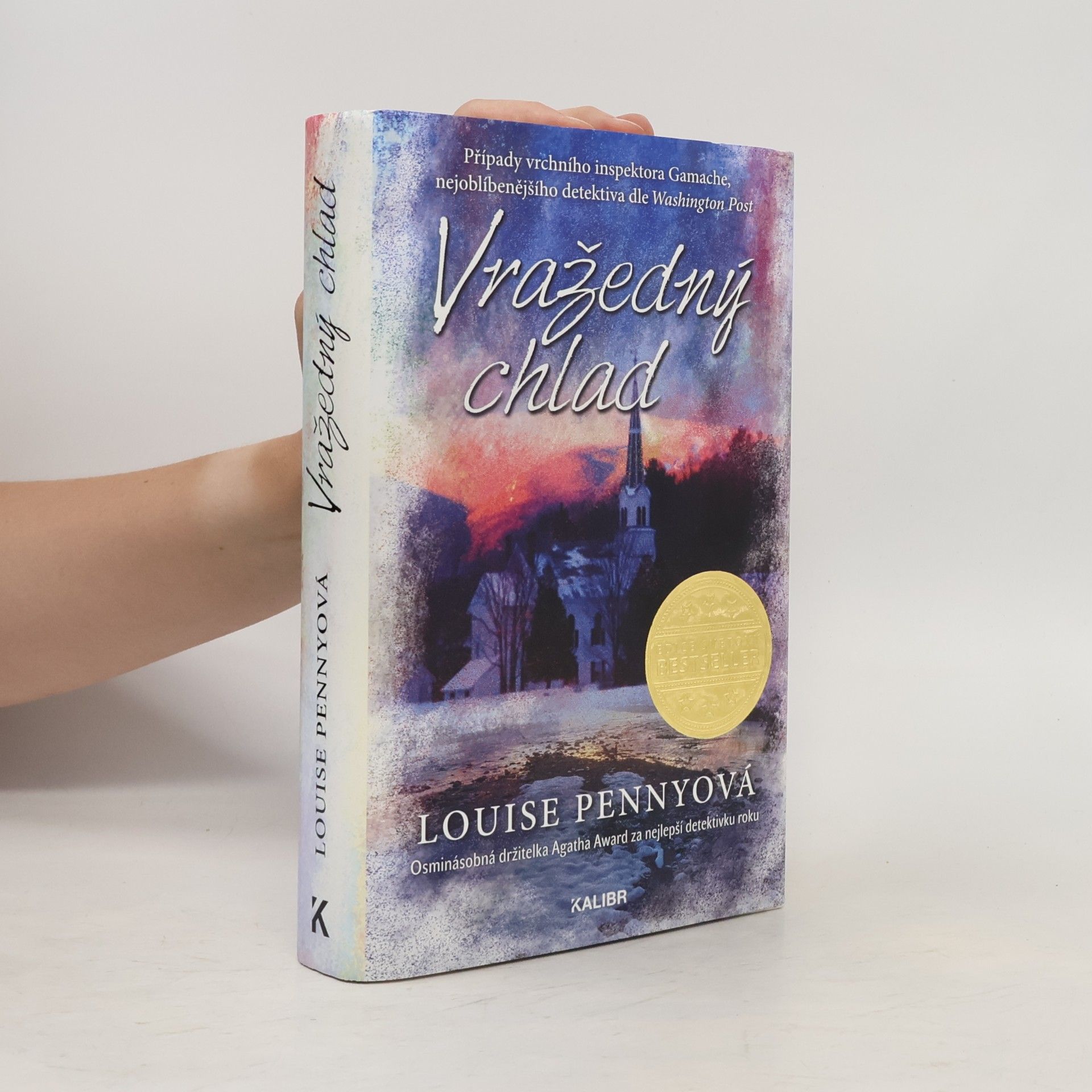 Louise Penny Vražedný chlad