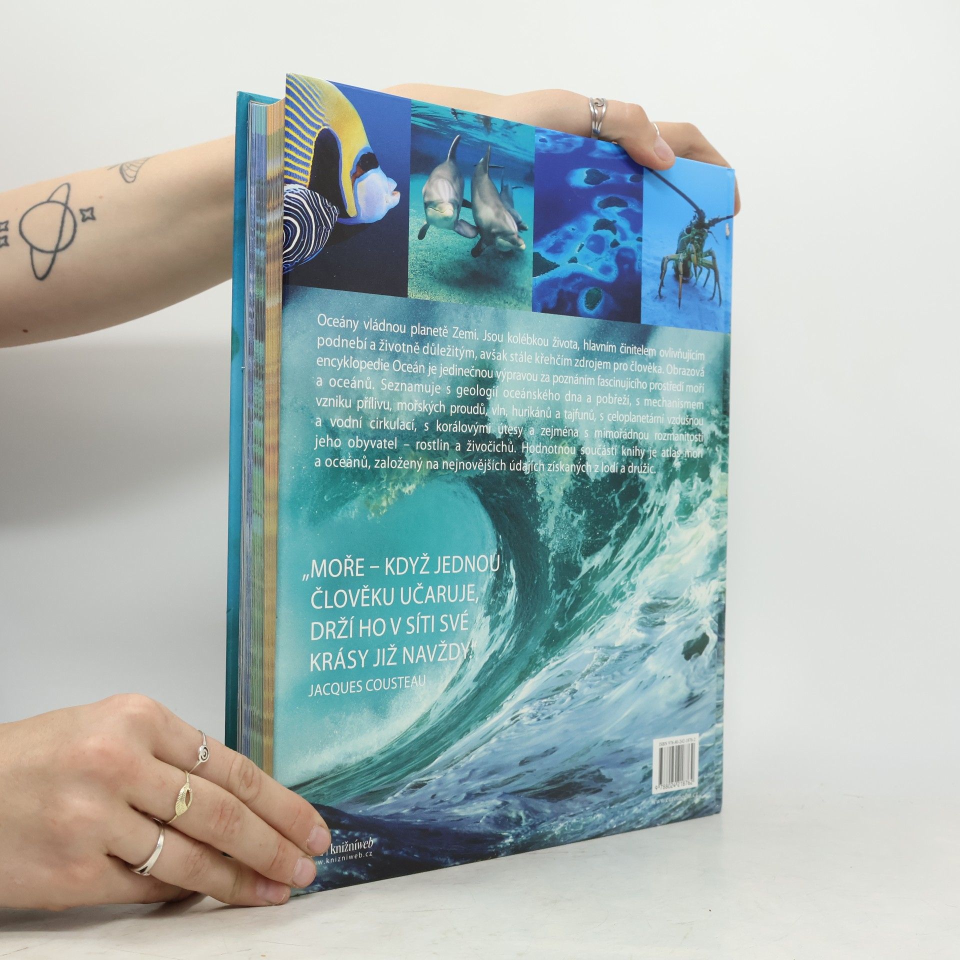 Fabien Cousteau Oceán: Poslední divočina světa