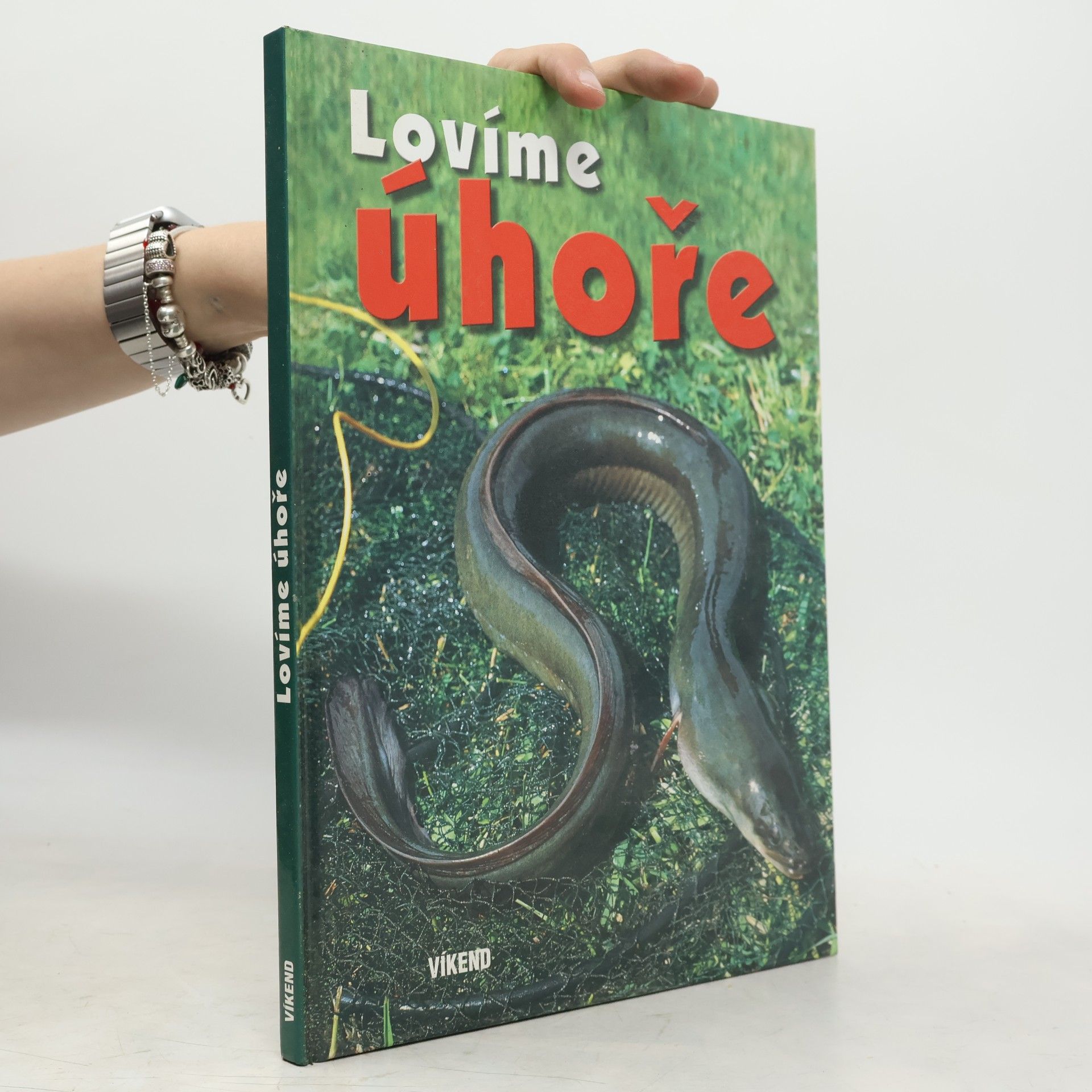 Kolektiv autorů Lovíme úhoře