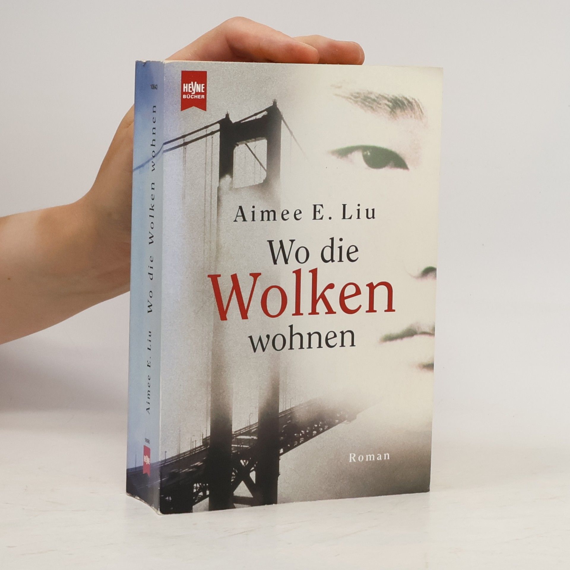 Aimee E. Liu Wo die Wolken wohnen