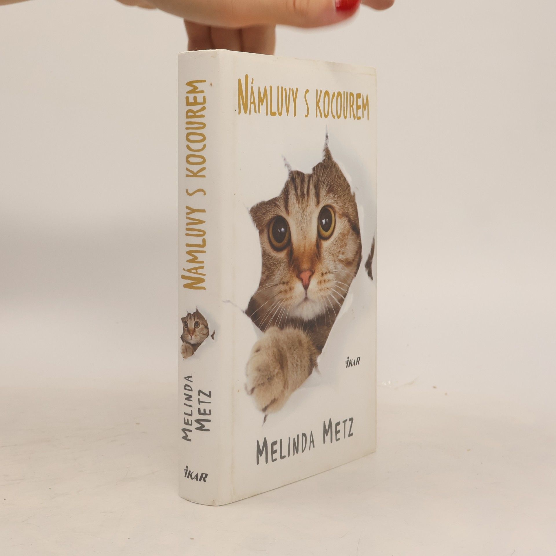 Melinda Metz Námluvy s kocourem