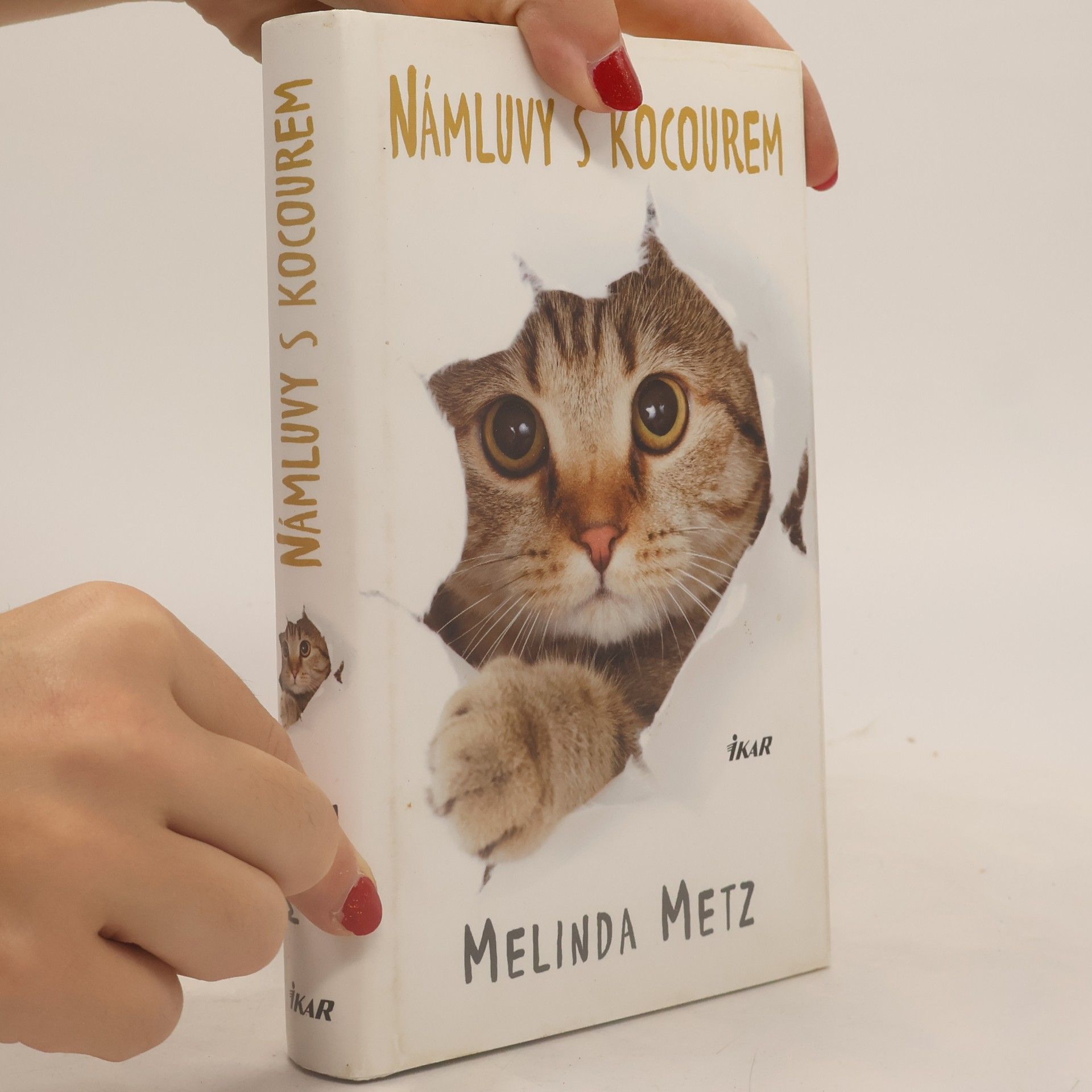 Melinda Metz Námluvy s kocourem