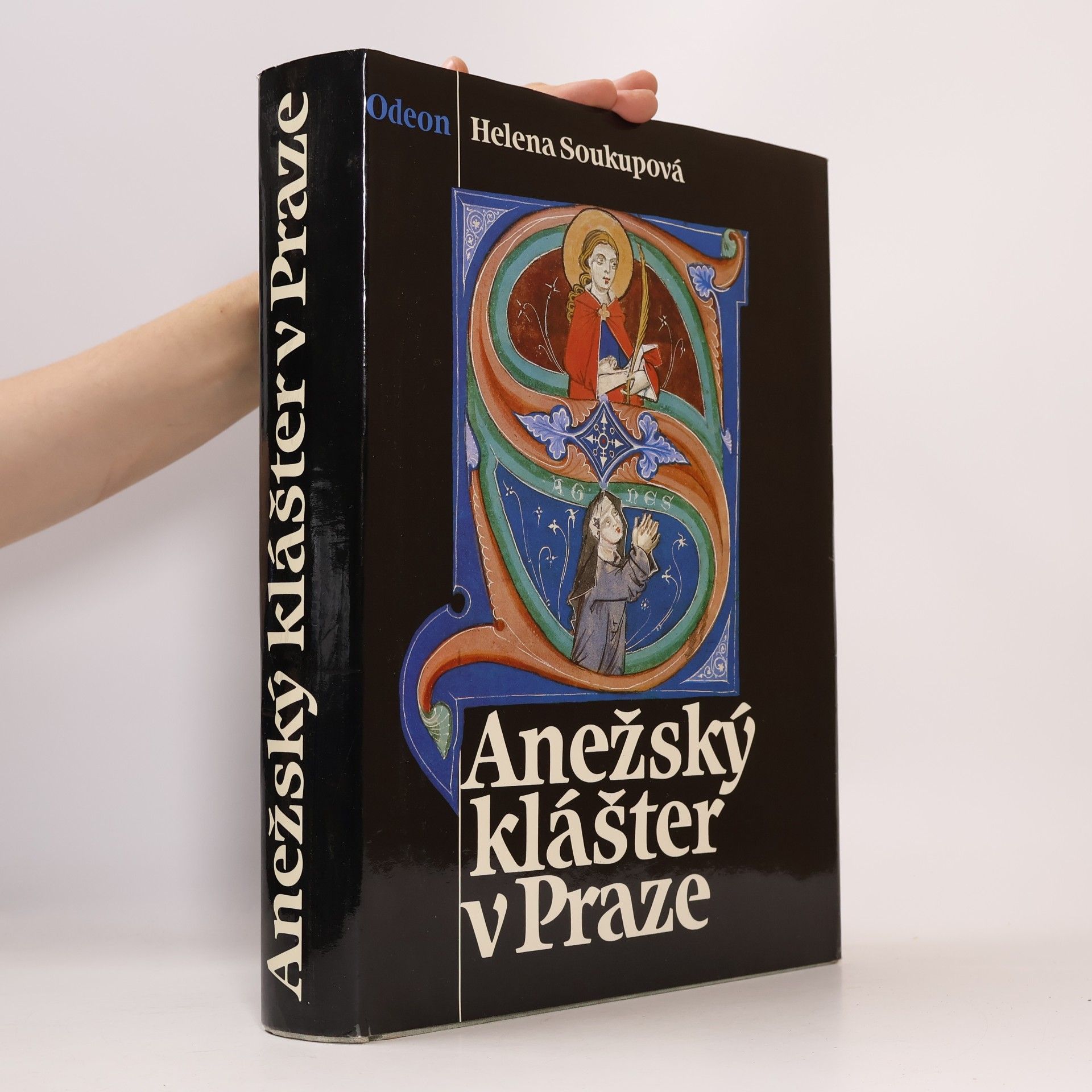 Helena Soukupová Anežský klášter v Praze