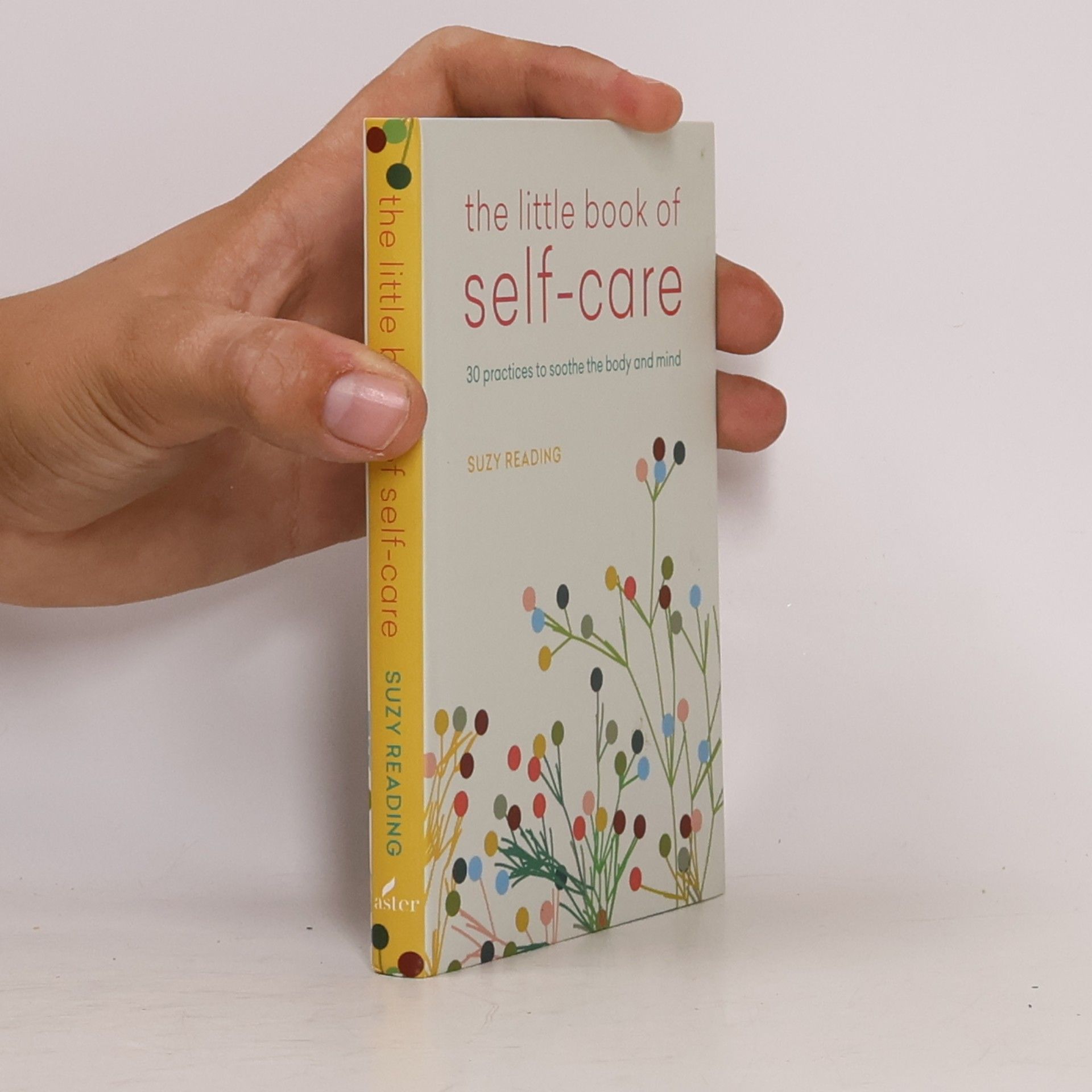 Suzy Reading The Little Book of Self-care
